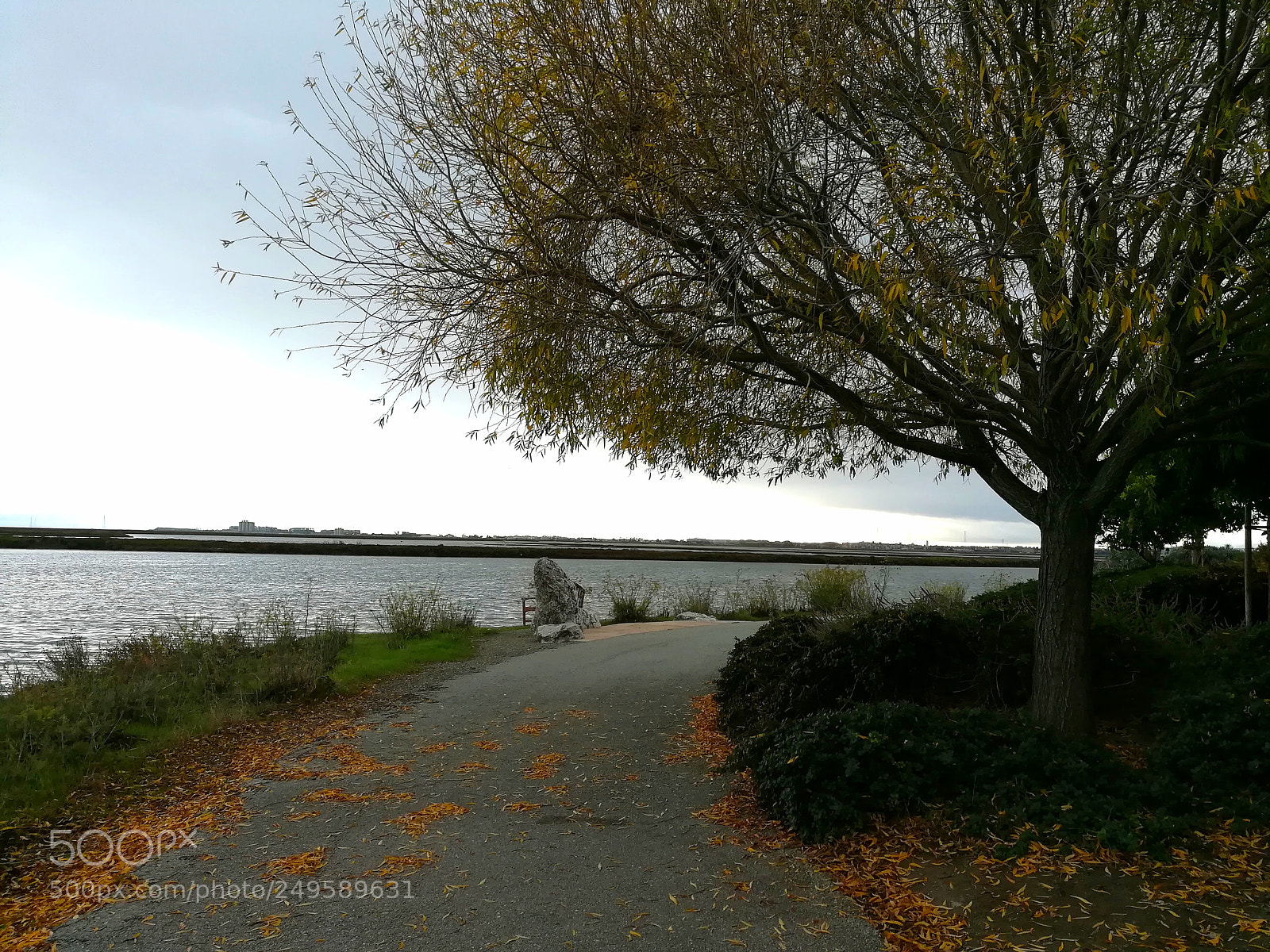 HUAWEI honor 6x sample photo. Walk by the lake photography