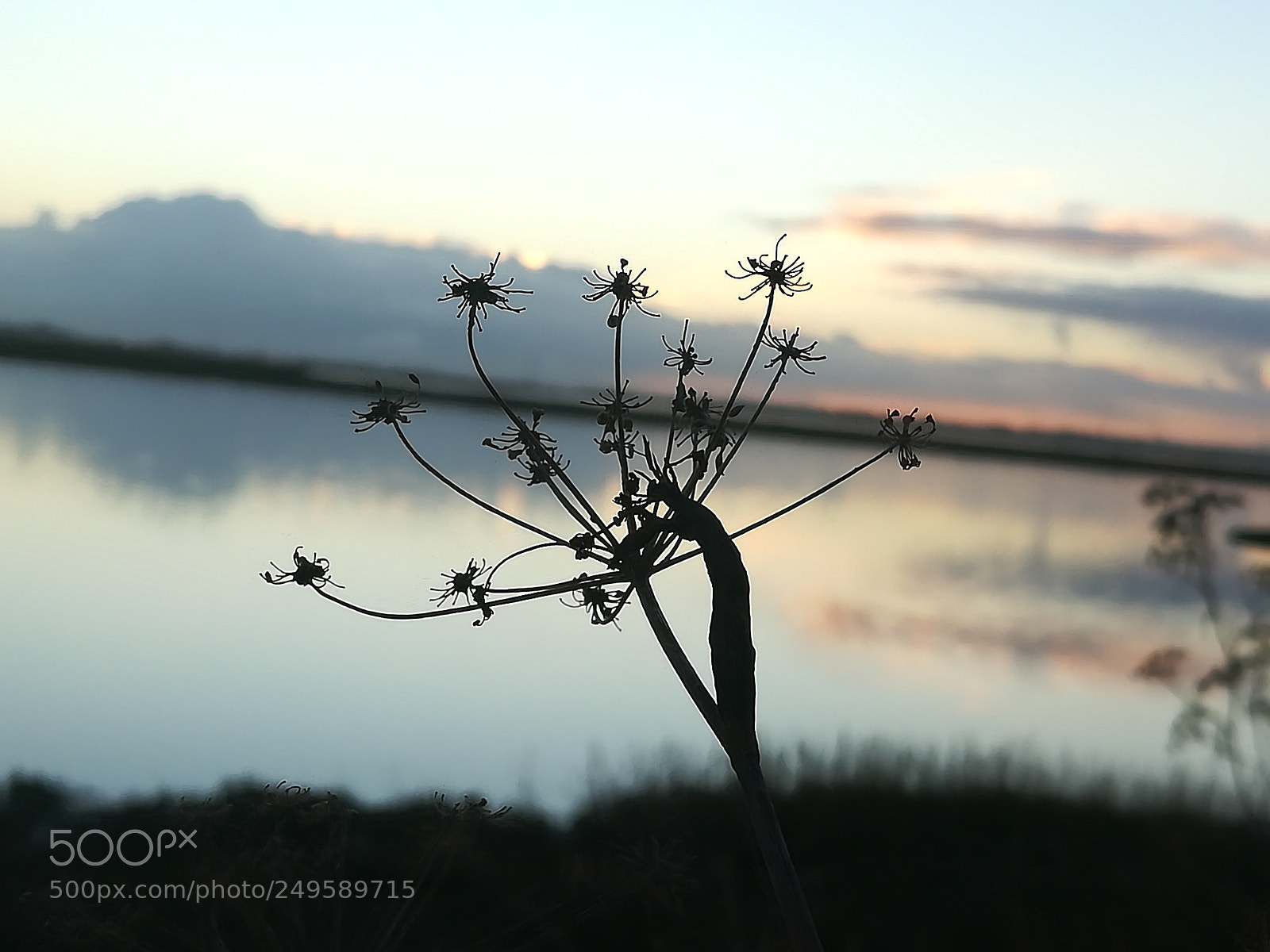 HUAWEI honor 6x sample photo. Walk by the lake photography