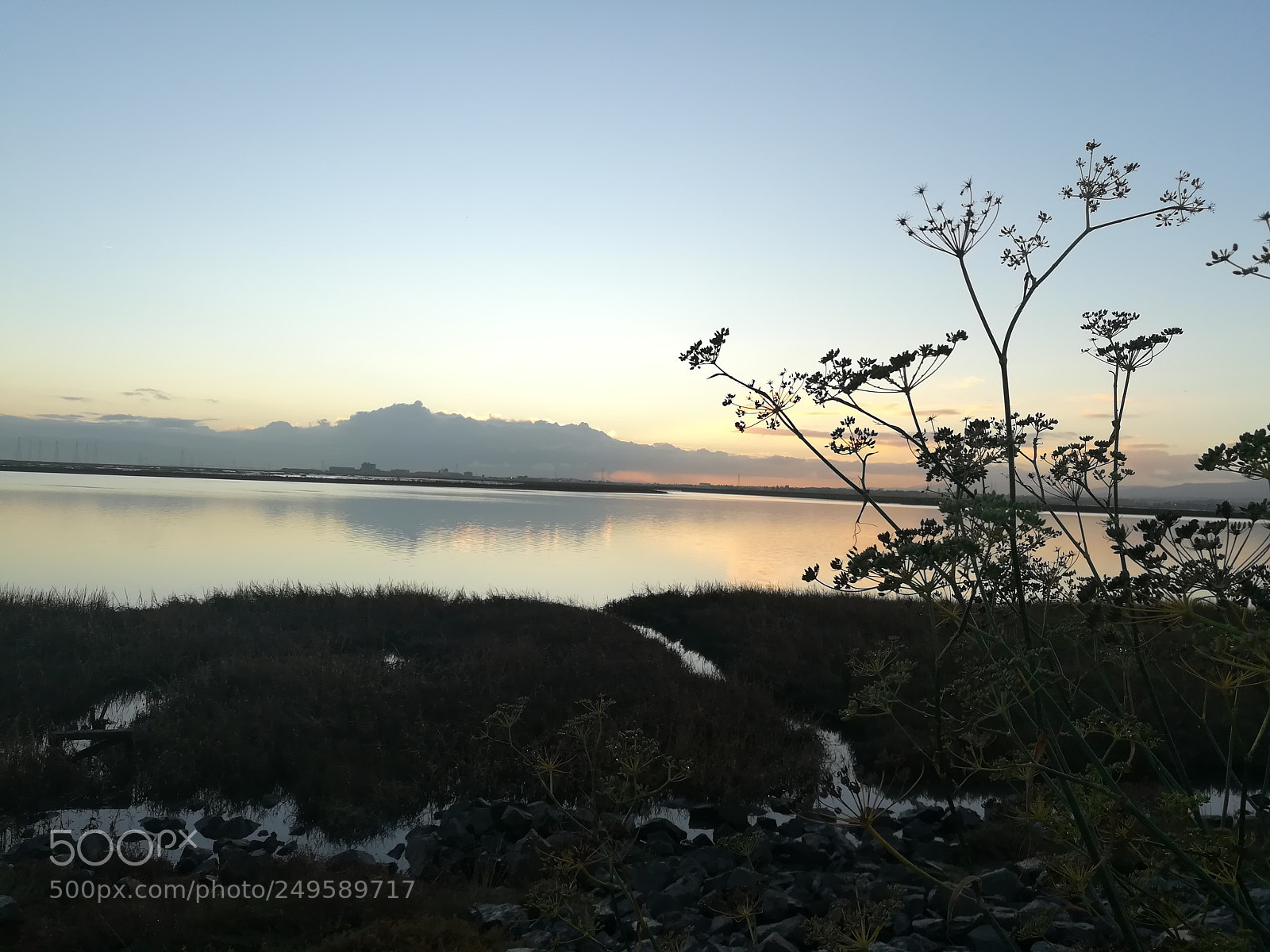 HUAWEI honor 6x sample photo. Walk by the lake photography