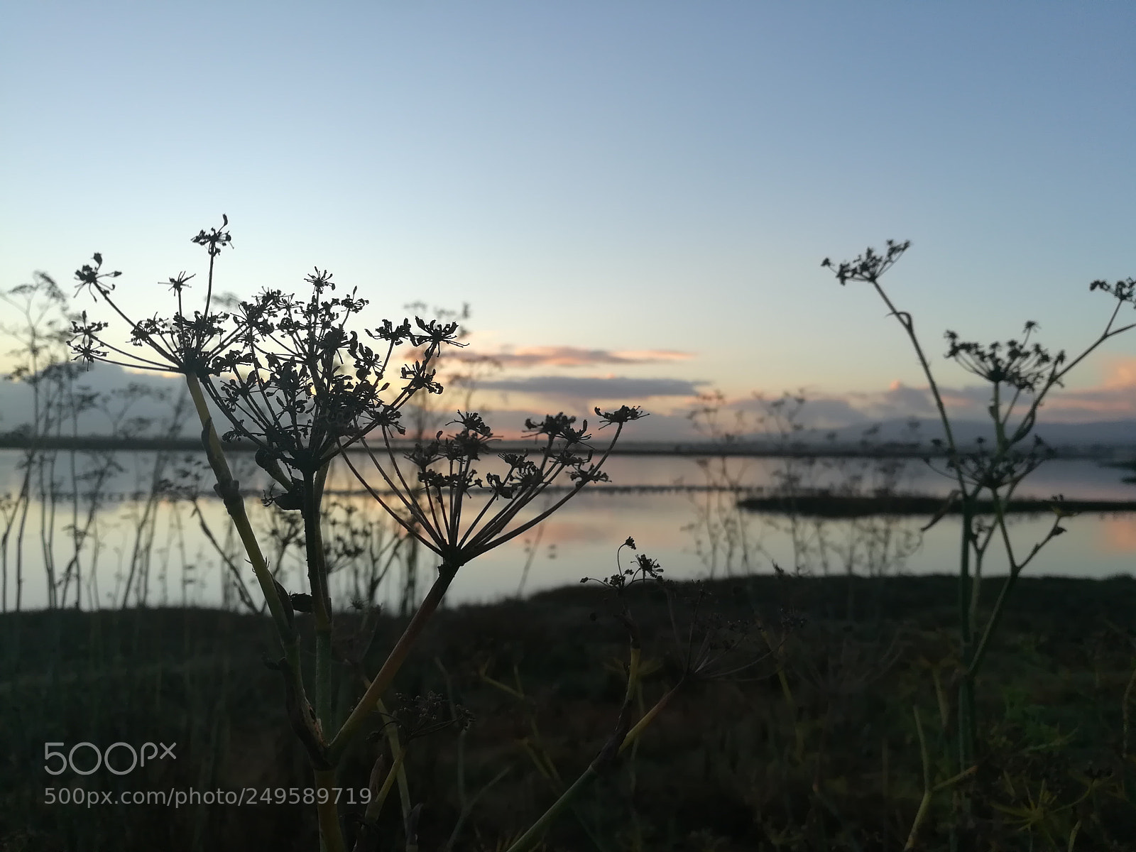 HUAWEI honor 6x sample photo. Walk by the lake photography