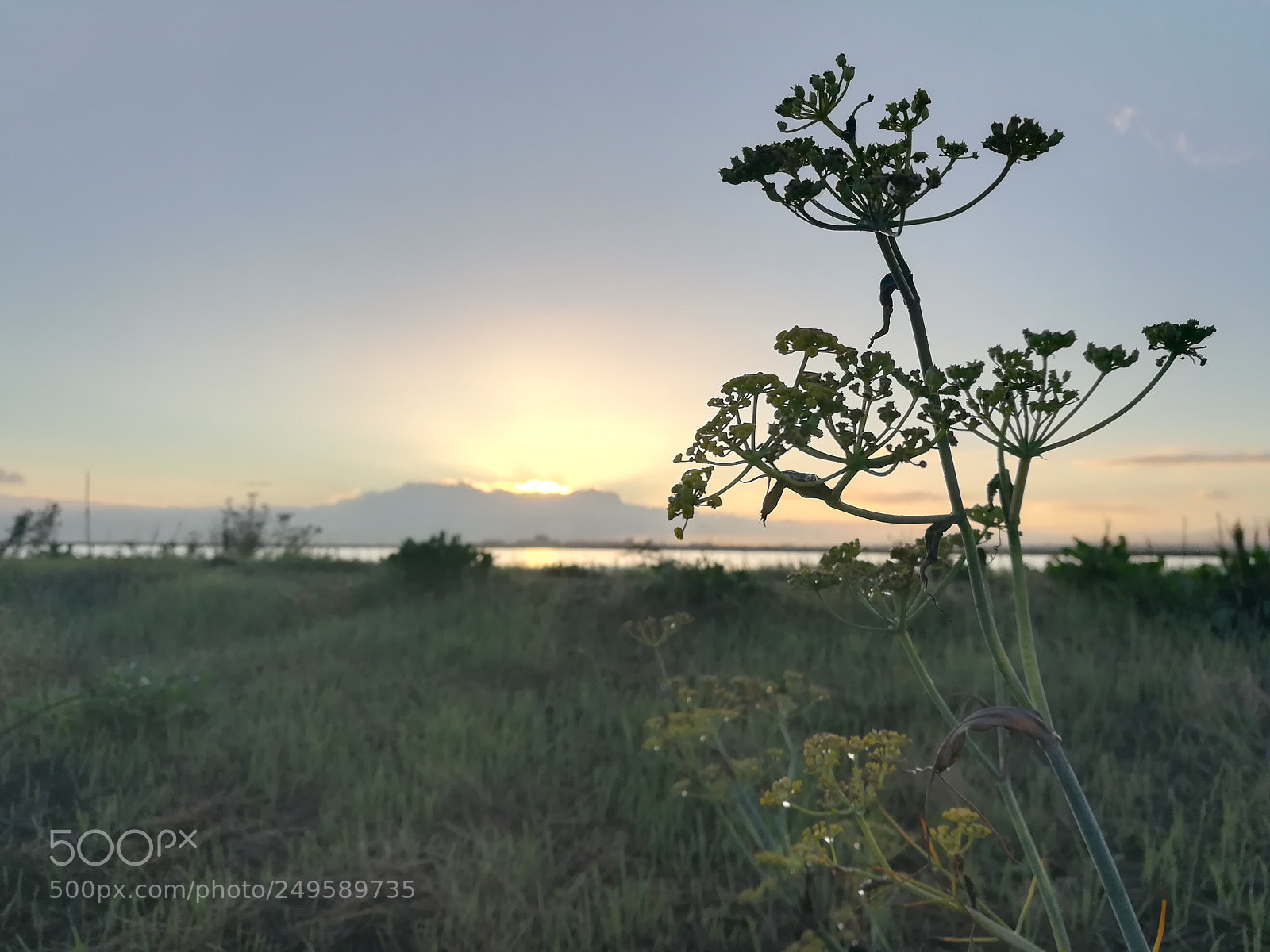 HUAWEI honor 6x sample photo. Walk by the lake photography