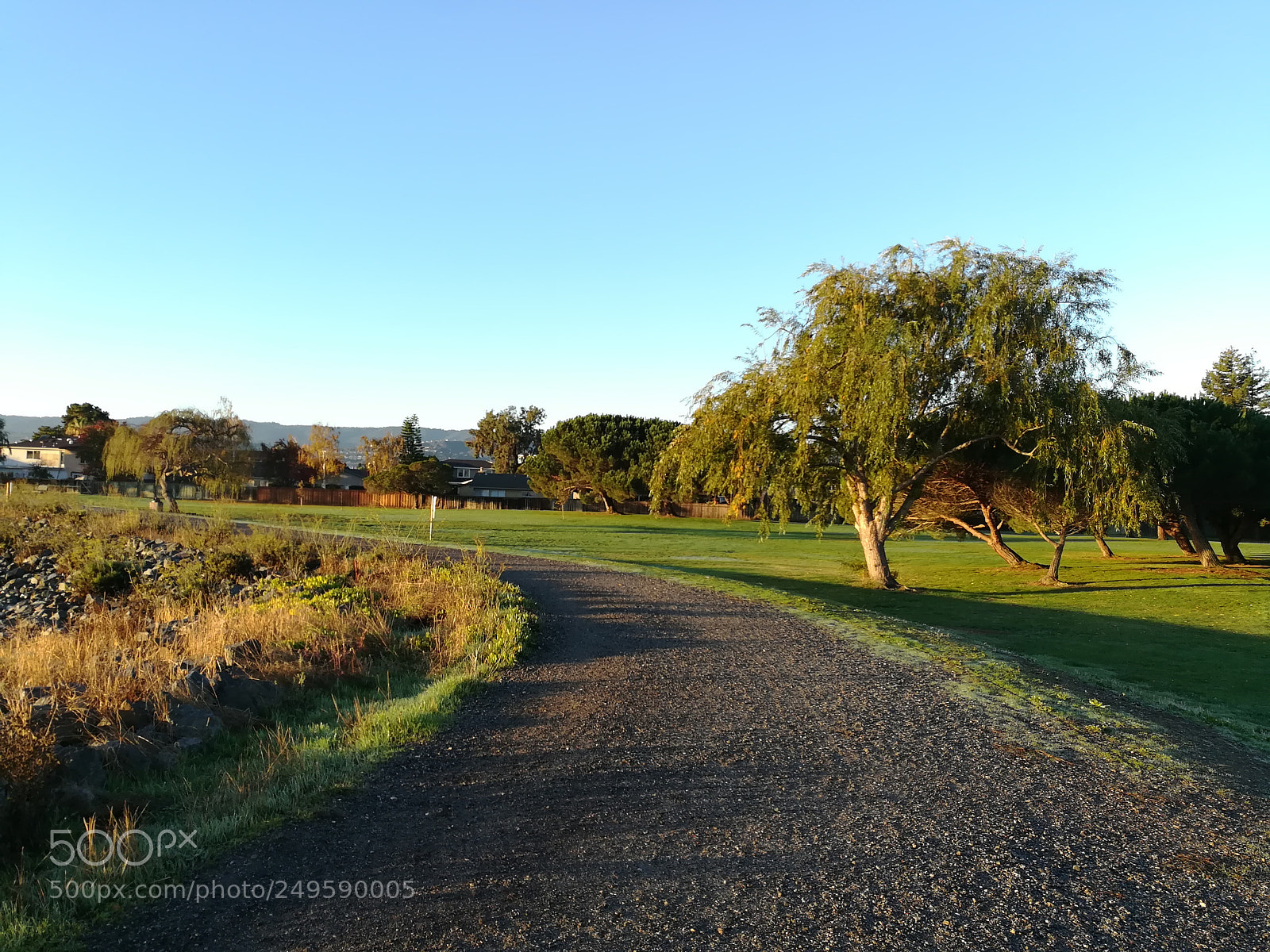 HUAWEI honor 6x sample photo. Walkway by the lake photography