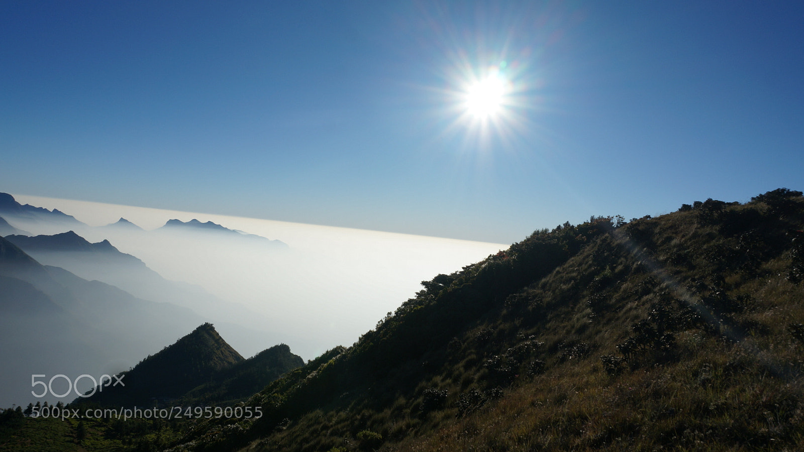 Sony Alpha NEX-5R sample photo. Dsc photography