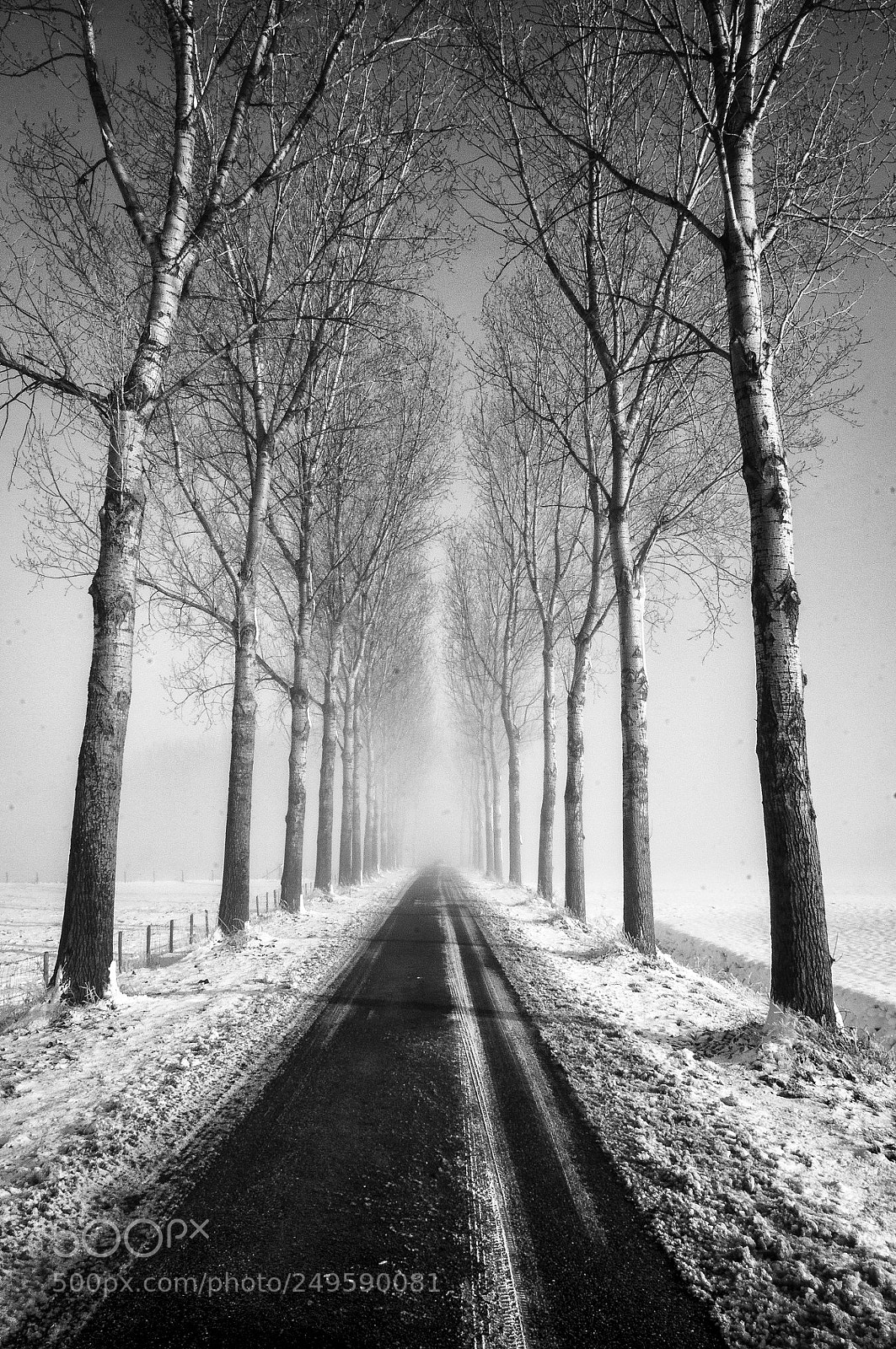 Nikon D300S sample photo. Signs of winter photography
