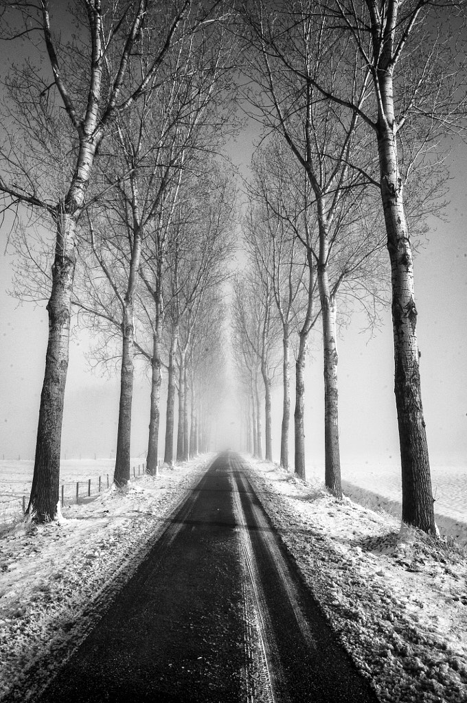signs of winter by Robert Broeke on 500px.com