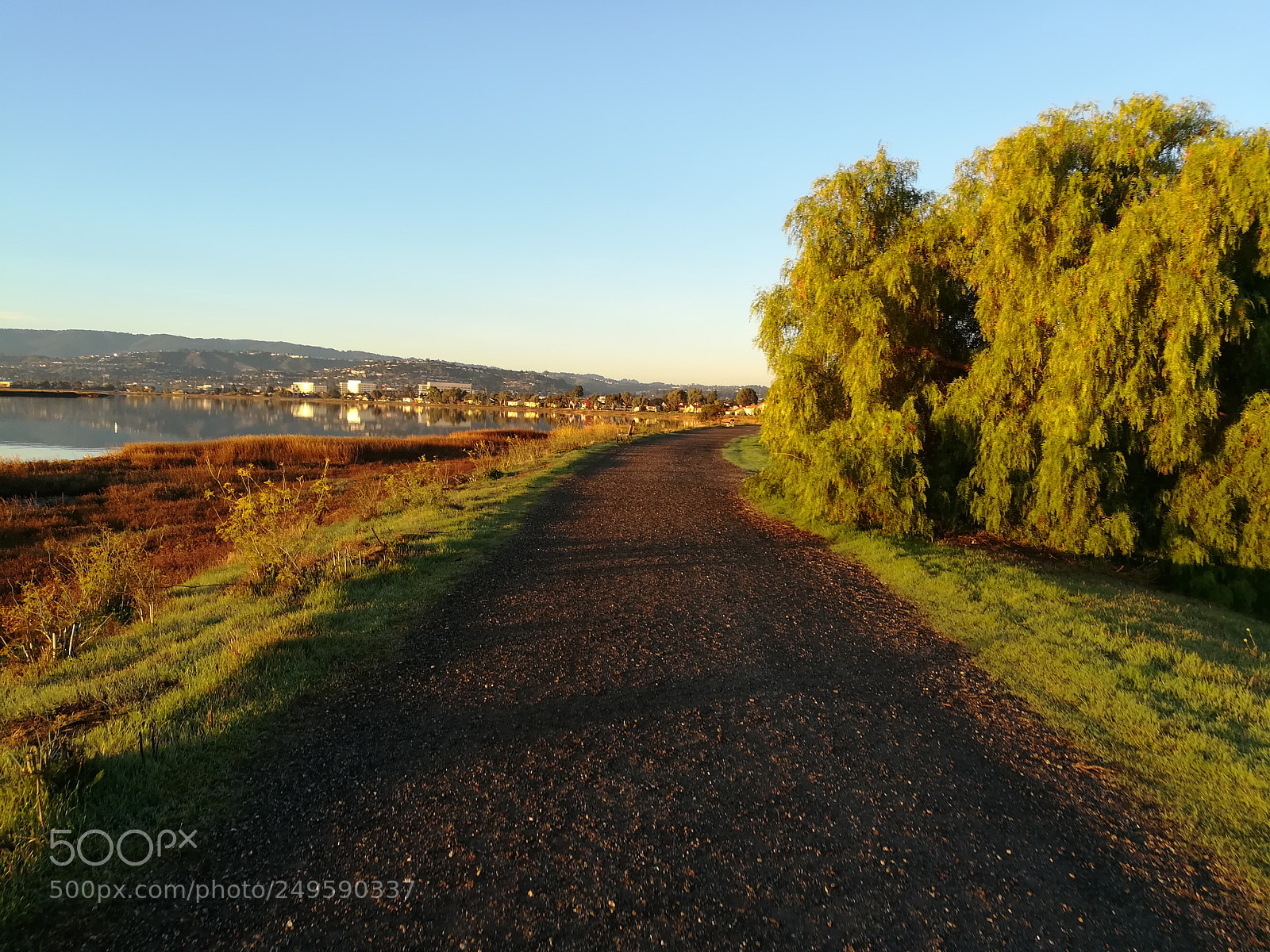 HUAWEI honor 6x sample photo. Walkway by the lake photography