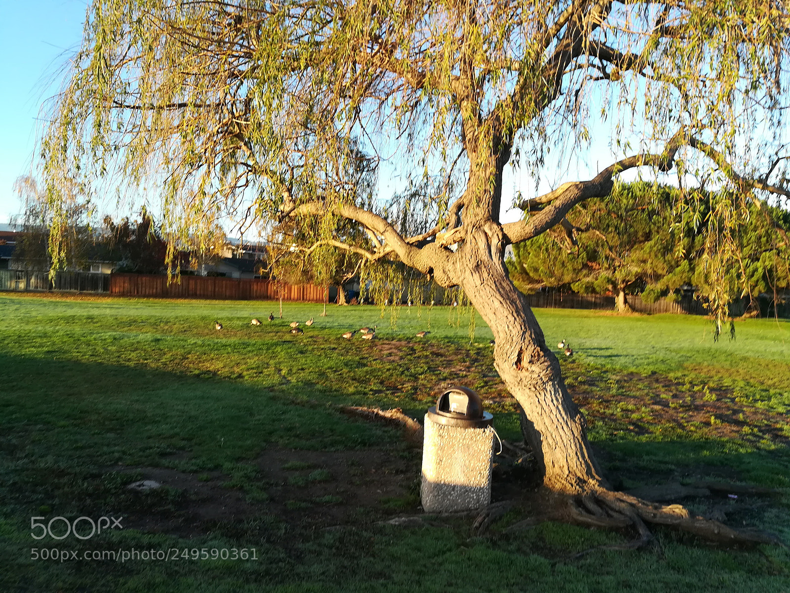 HUAWEI honor 6x sample photo. Walkway by the lake photography