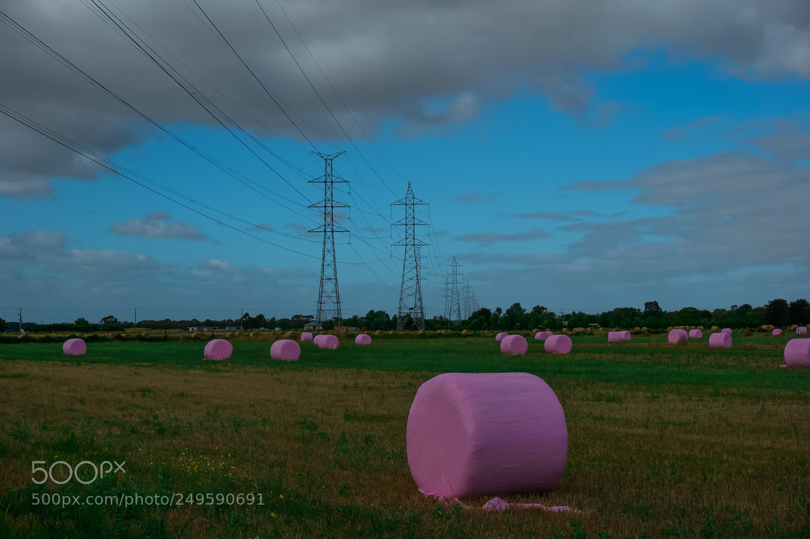 Sony a6000 sample photo. Marshmallow photography