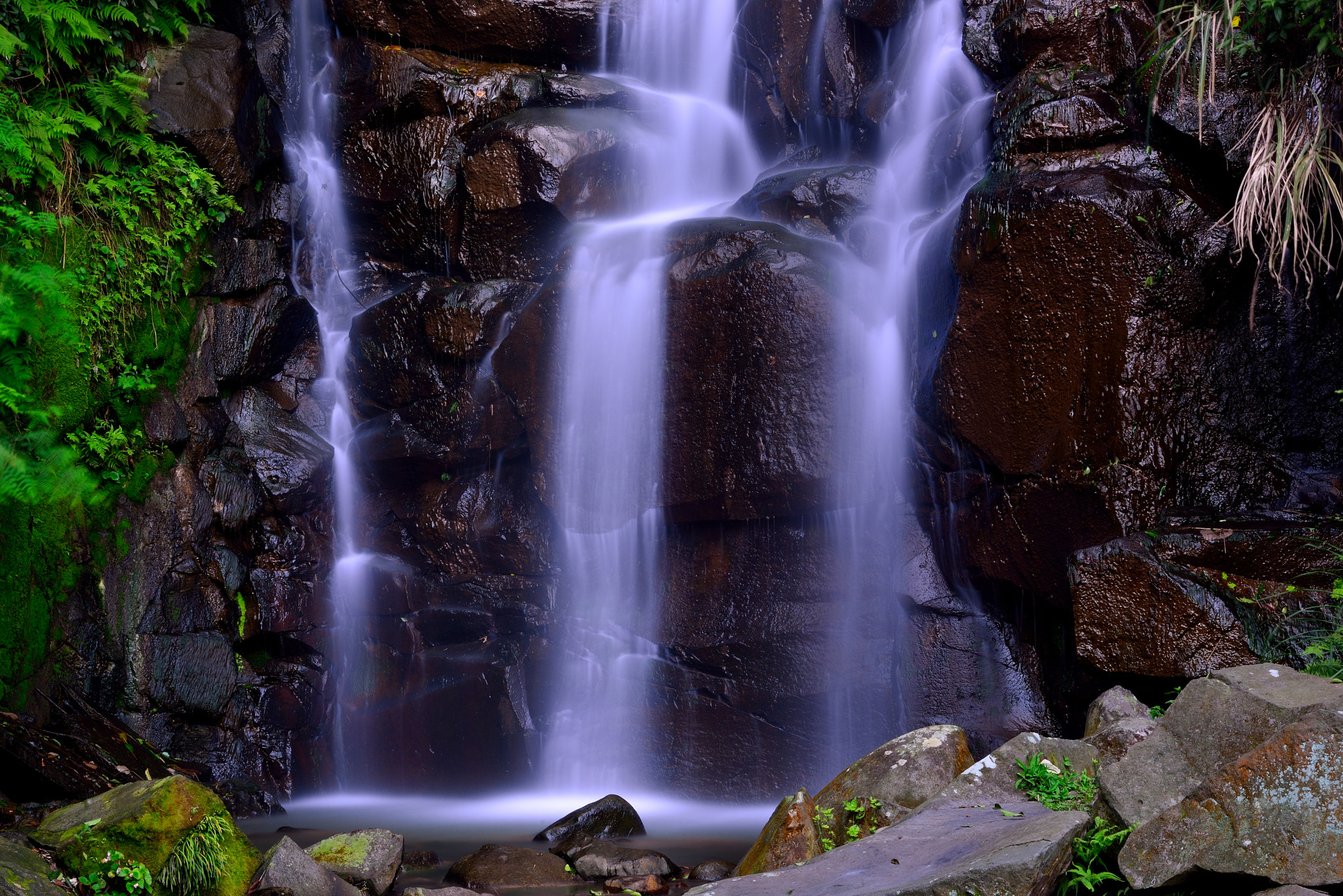 Nikon AF-S Nikkor 24-120mm F4G ED VR sample photo. Dsc photography