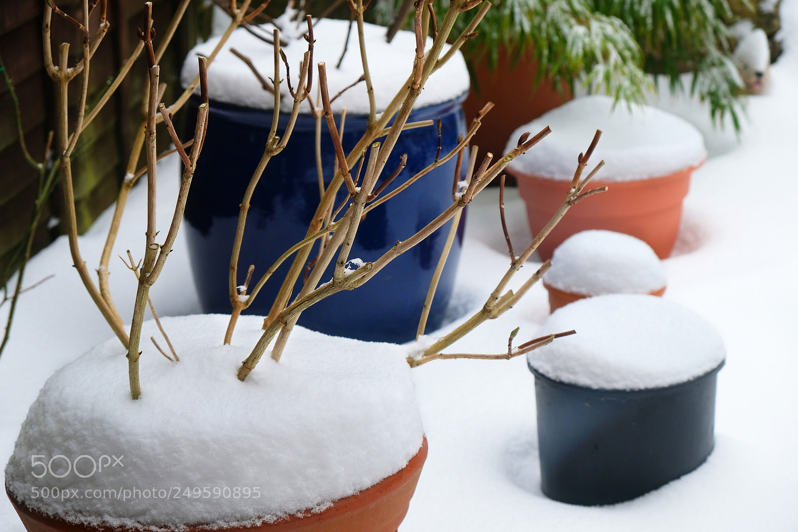 Fujifilm X-T20 sample photo. Untitled photography