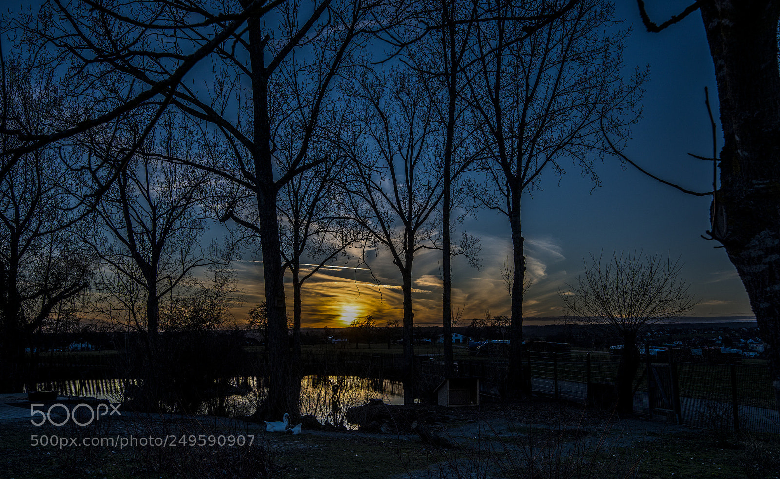 Nikon D800 sample photo. Sunset pond photography