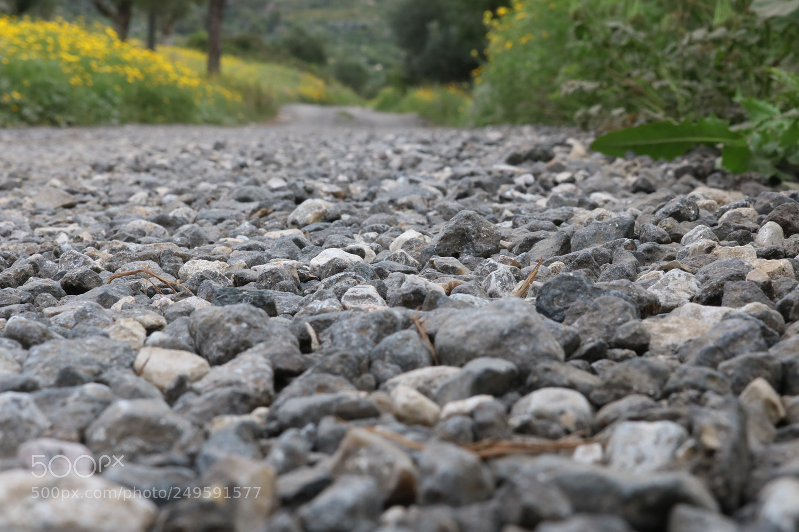 Canon EOS 750D (EOS Rebel T6i / EOS Kiss X8i) sample photo. The stone road photography