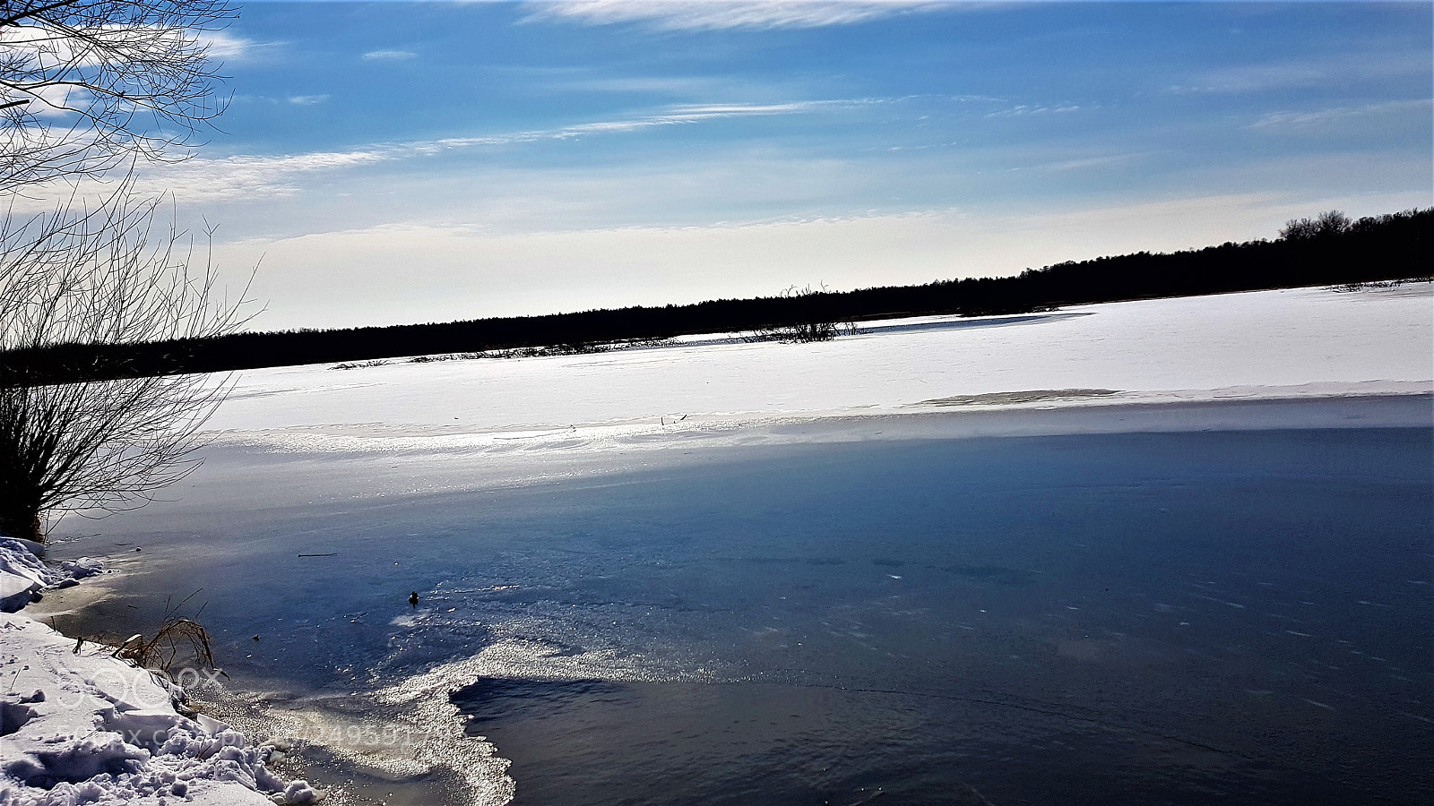 Samsung Galaxy S8+ sample photo. Spring is coming. photography