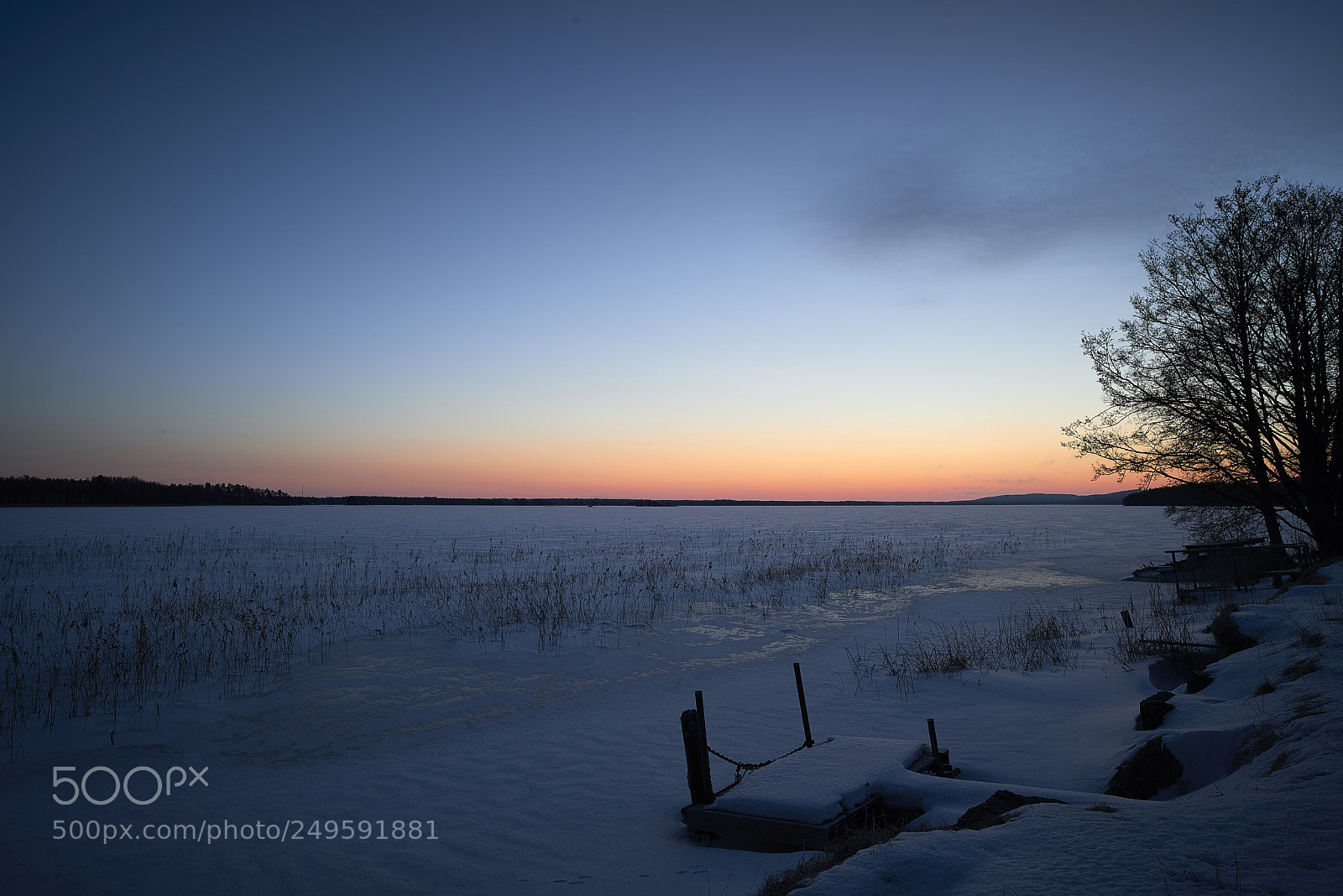 Nikon D800E sample photo. Blue hour photography