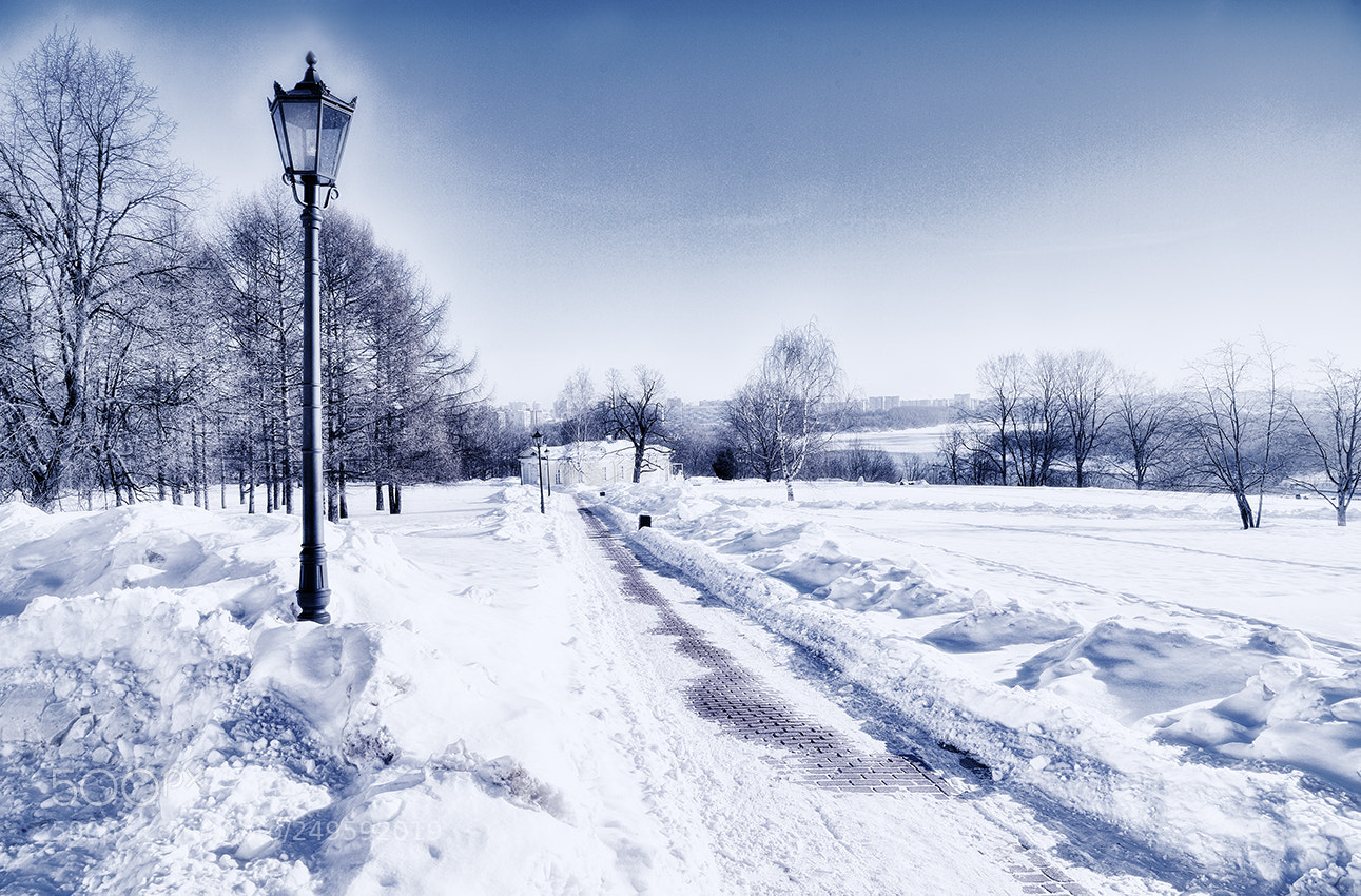 Nikon Df sample photo. Untitled photography