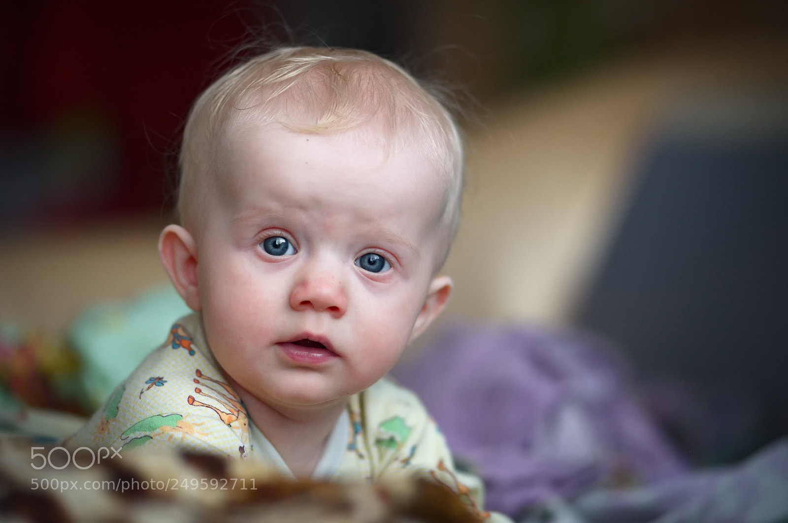 Nikon D700 sample photo. Untitled photography