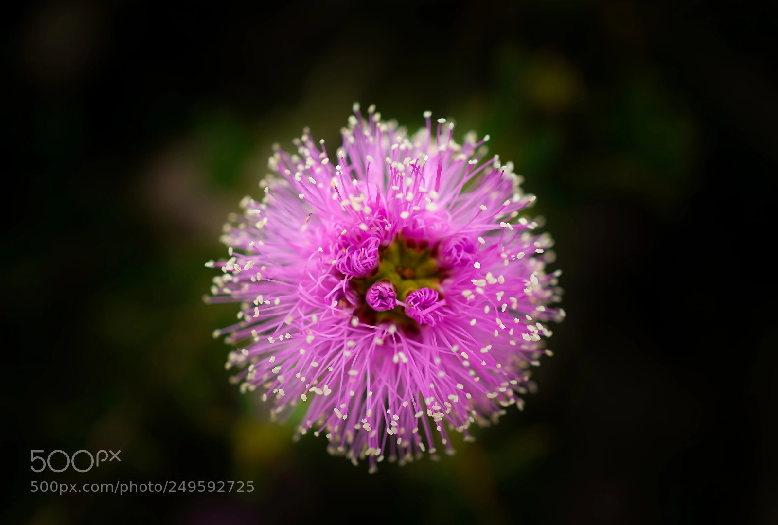 Sony a6000 sample photo. Beauty in nature photography