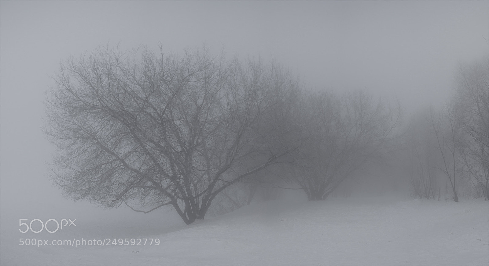 Canon EOS 60D sample photo. Silent hill photography