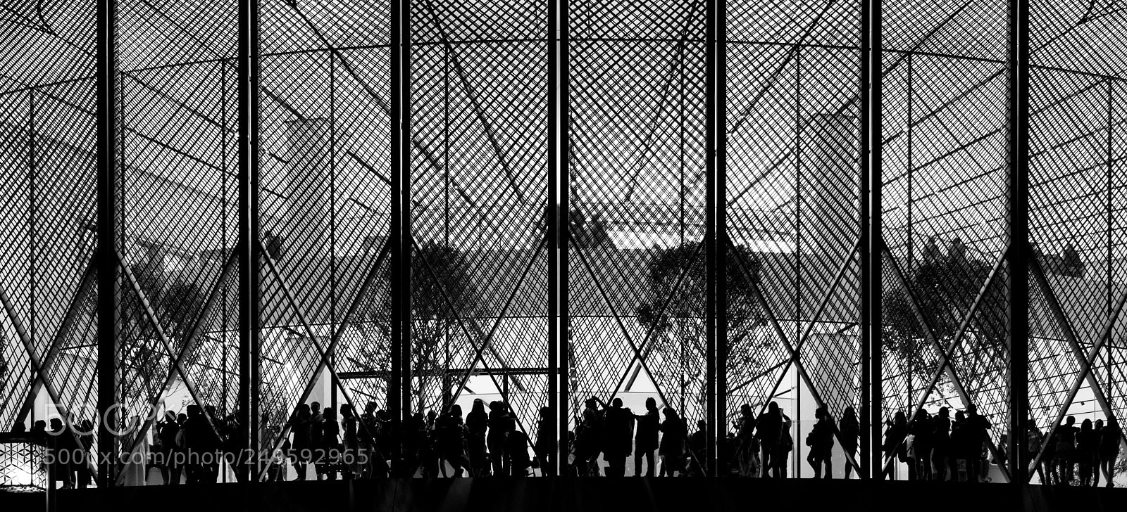 Canon EOS 6D Mark II sample photo. Silhouettes photography