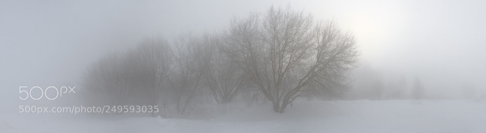 Canon EOS 60D sample photo. Silent hill photography