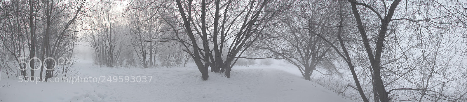 Canon EOS 60D sample photo. Silent hill photography