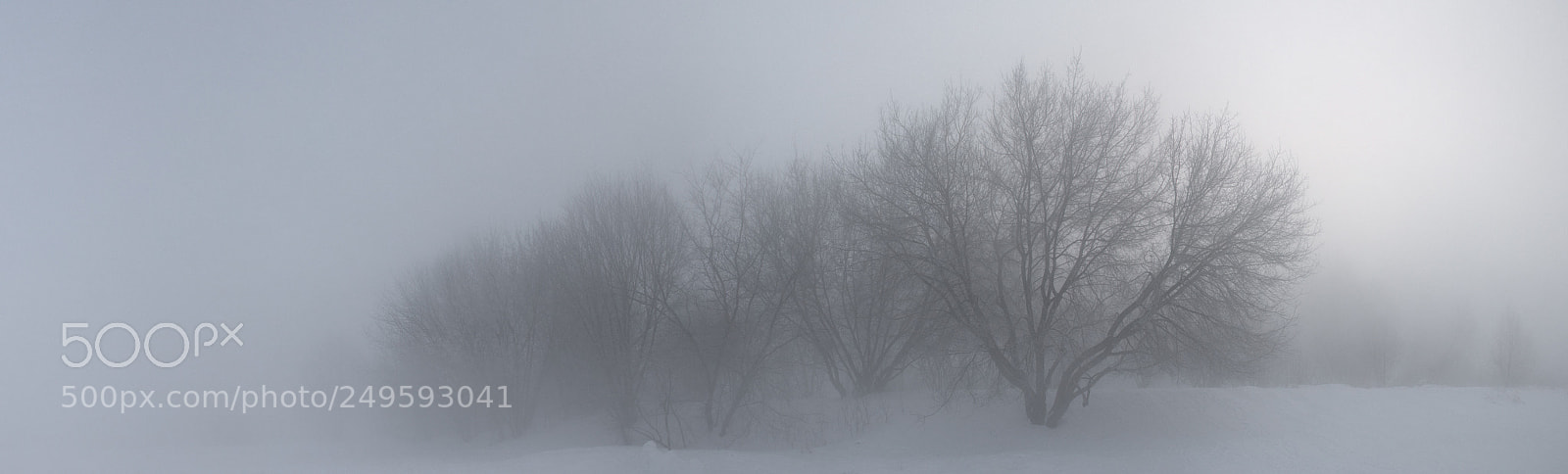 Canon EOS 60D sample photo. Silent hill photography