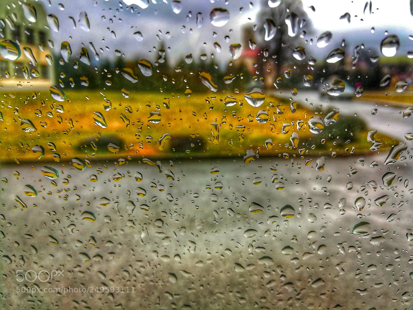 HUAWEI honor 6x sample photo. #spring #powernatural photography