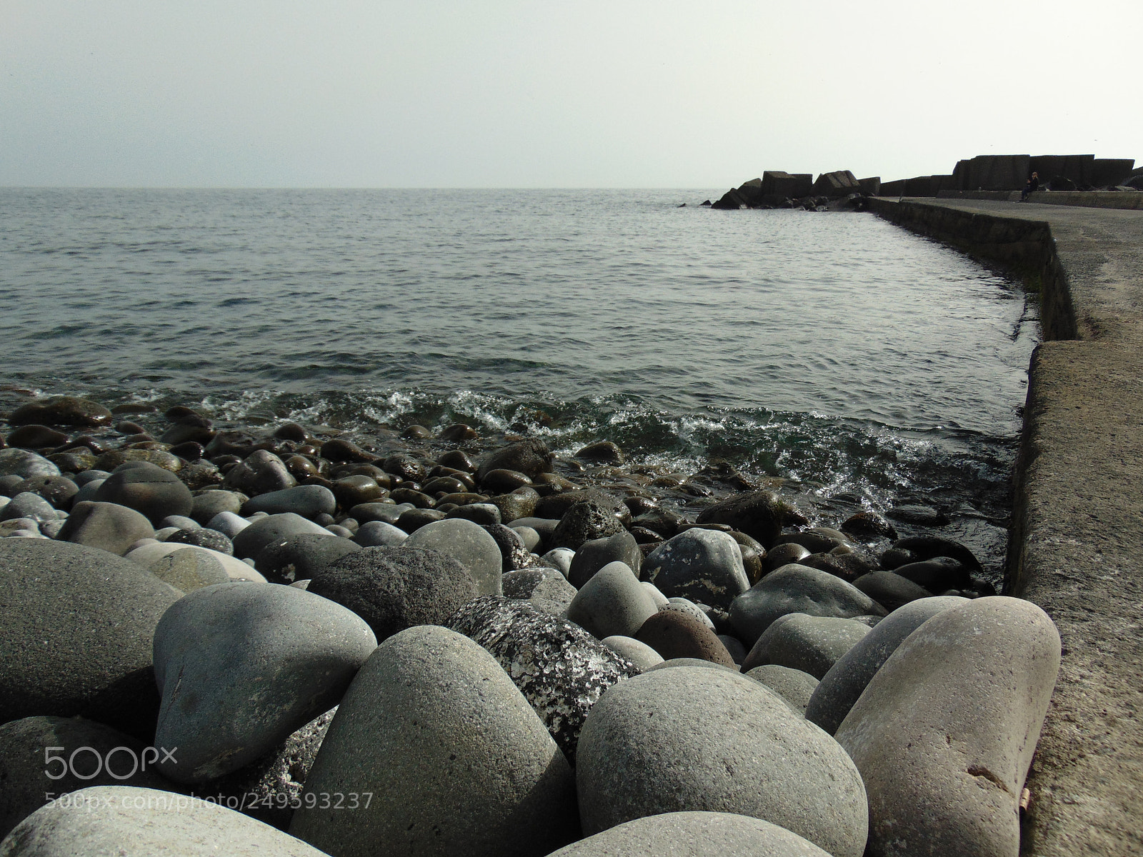Sony Cyber-shot DSC-H300 sample photo. ˙confusion˙ photography
