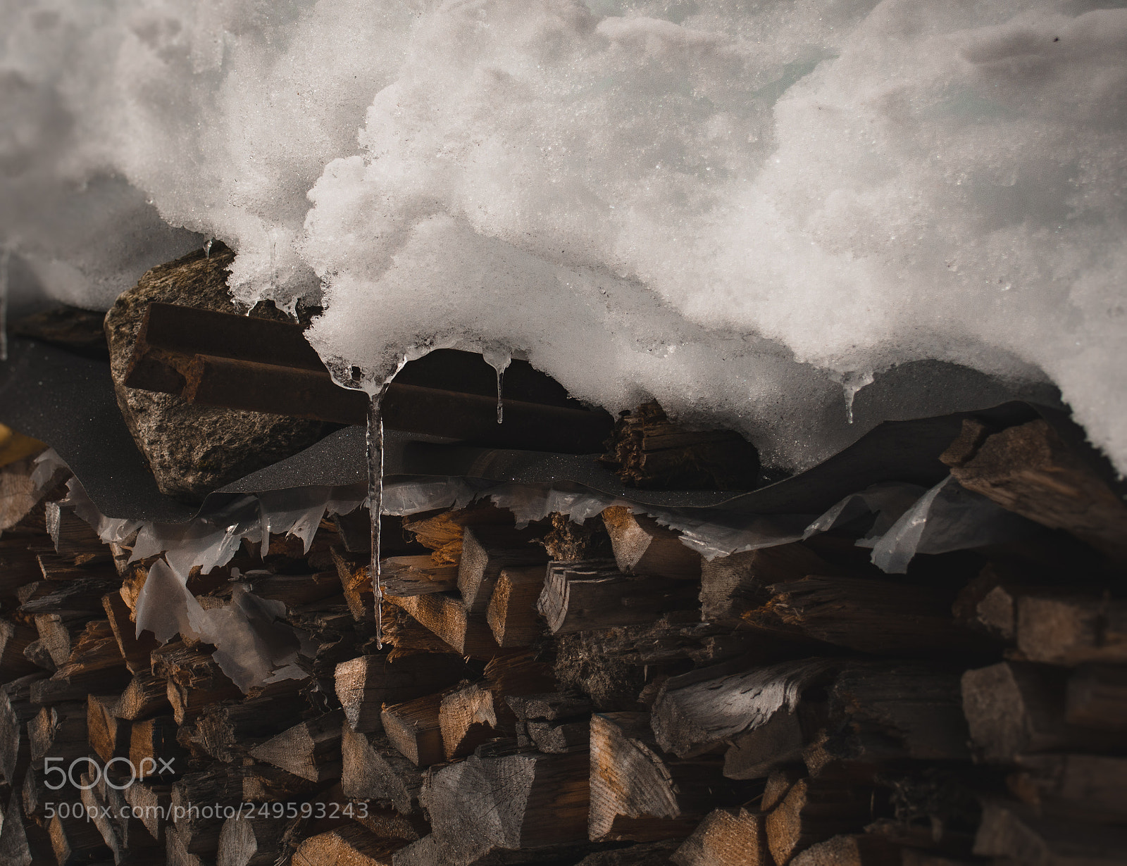 Olympus OM-D E-M5 sample photo. Vintage logs photography