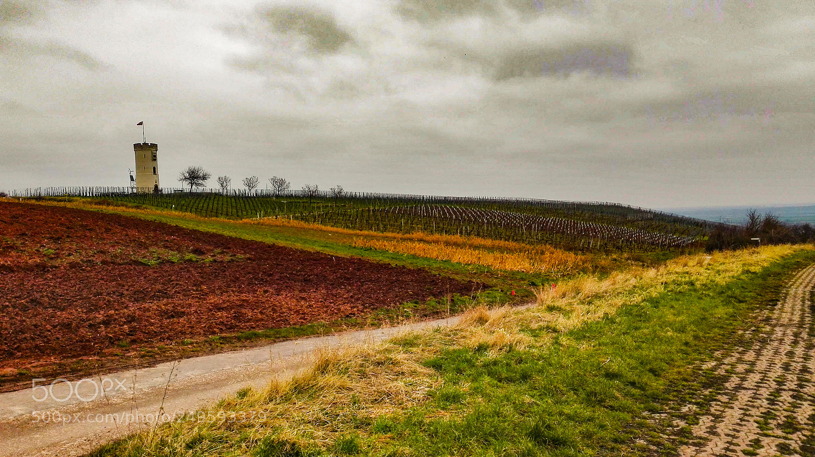 HUAWEI P8 Lite sample photo. Nierstein, germany photography