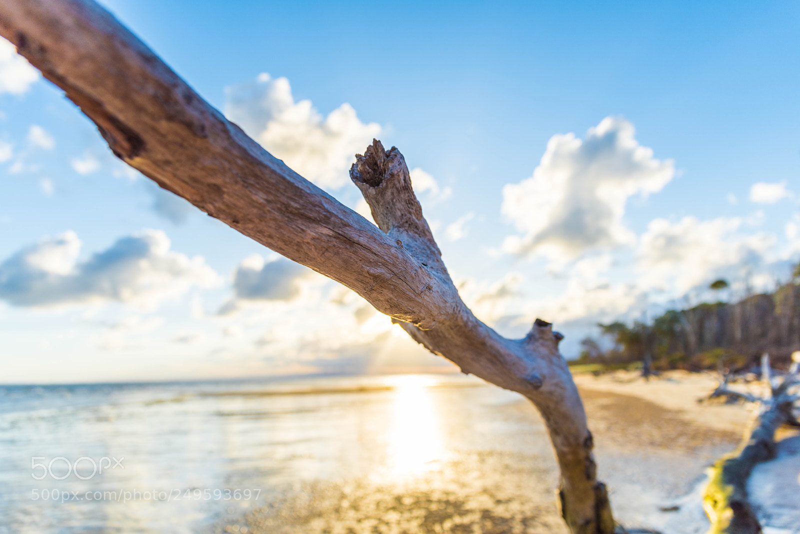 Nikon D810 sample photo. Untitled photography