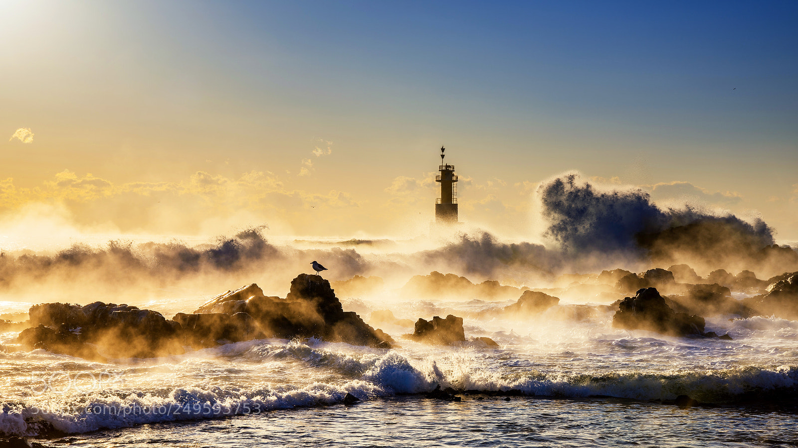Nikon D810 sample photo. Raging sea photography