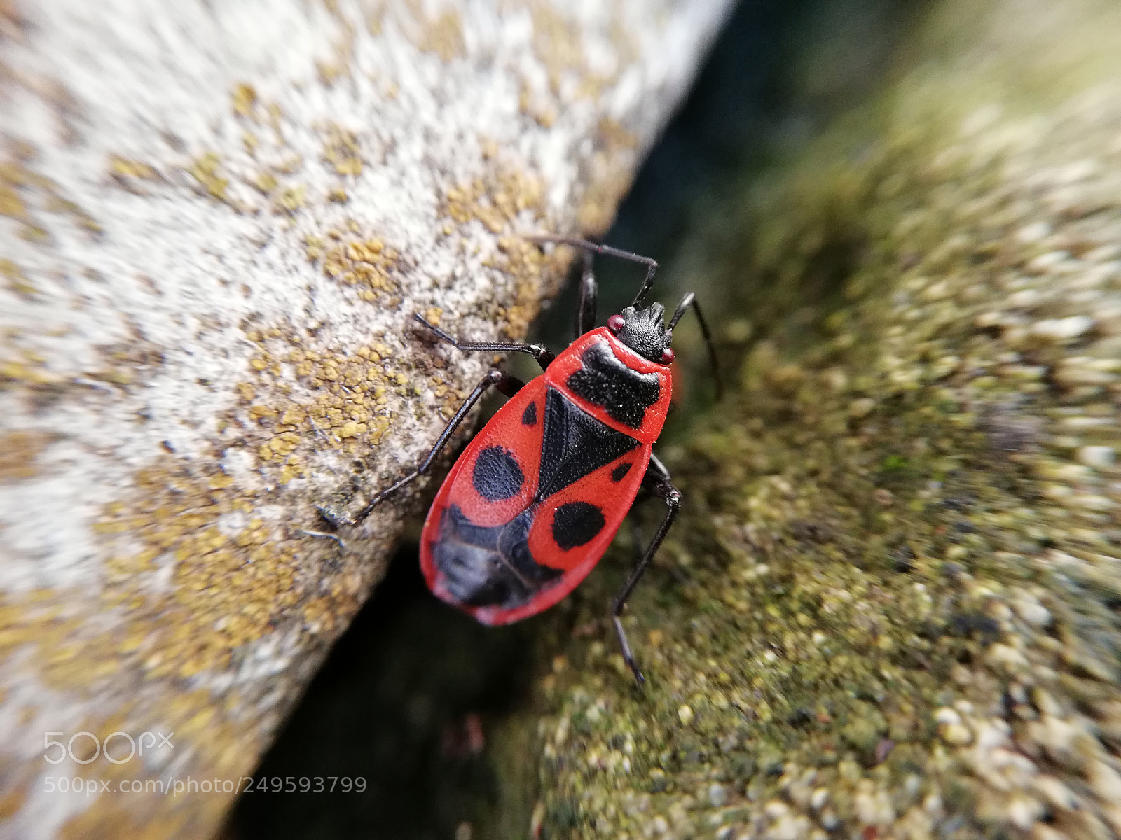 HUAWEI Mate 10 Lite sample photo. Untitled photography