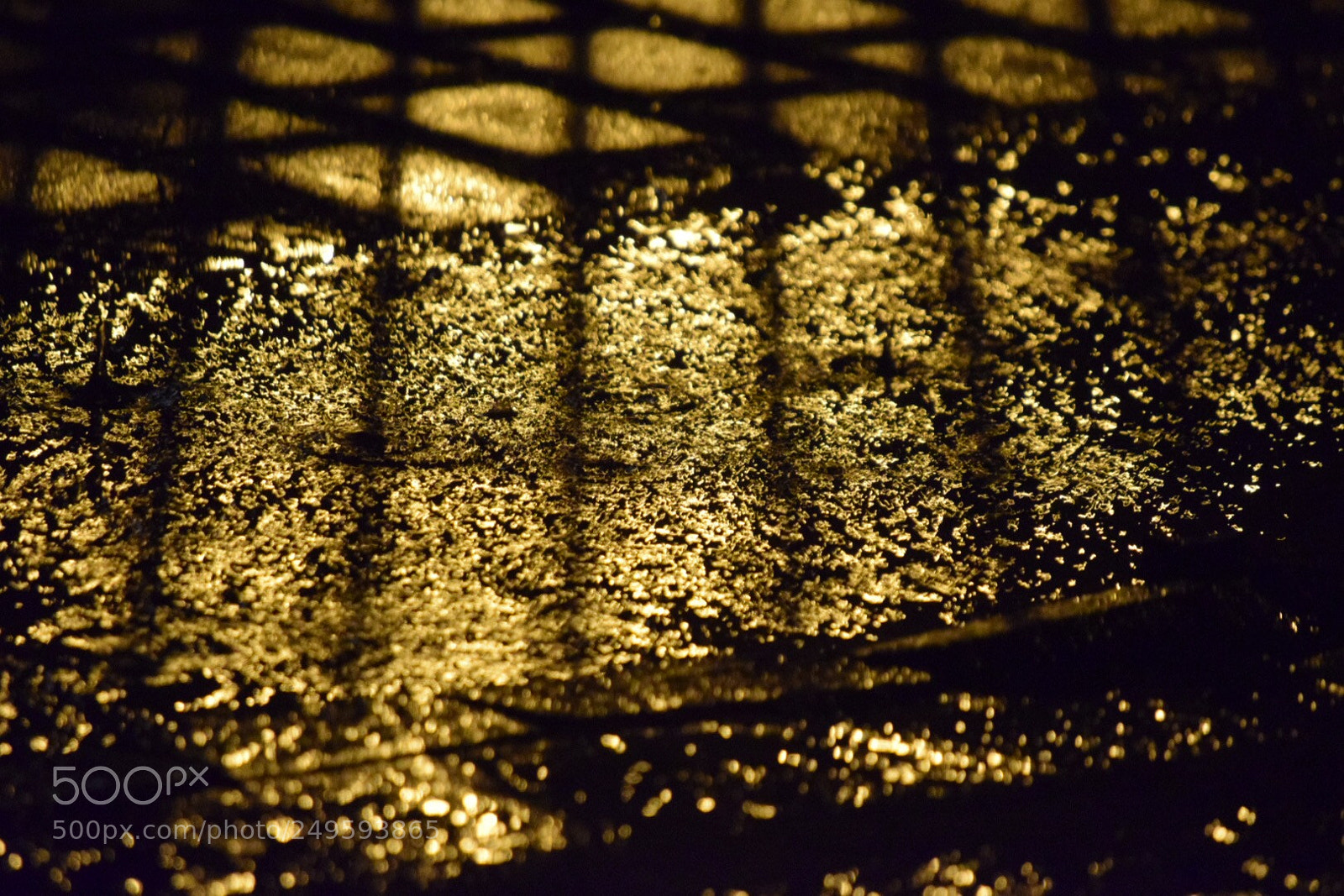 Nikon D3300 sample photo. Rainyreflection photography