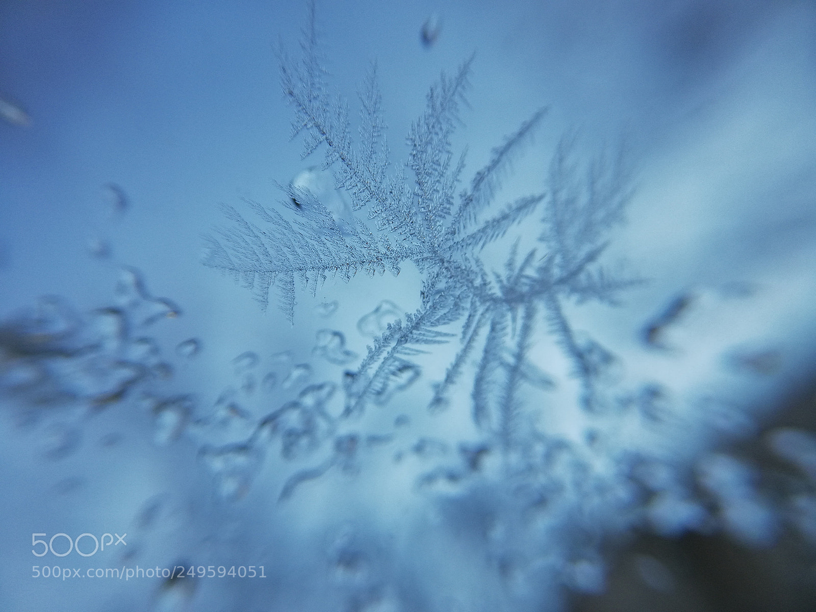 HUAWEI Mate 10 Lite sample photo. Frozen photography