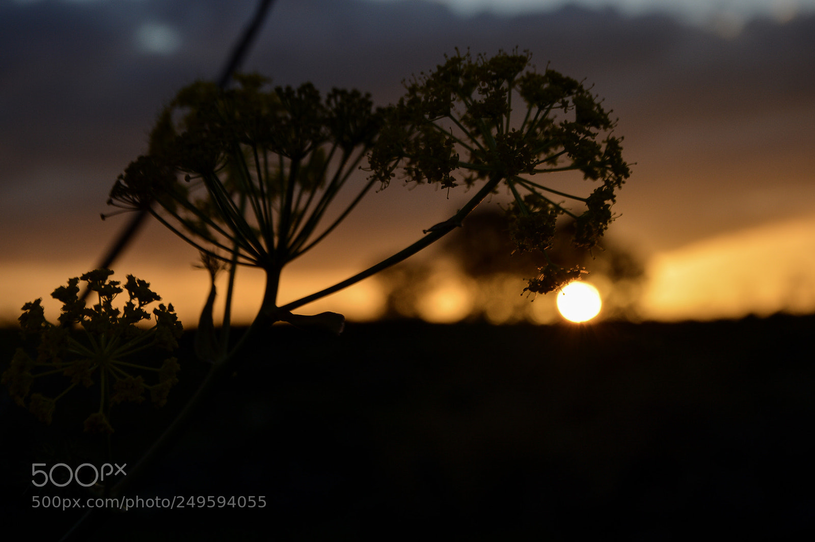 Nikon D3200 sample photo. Sunset. photography