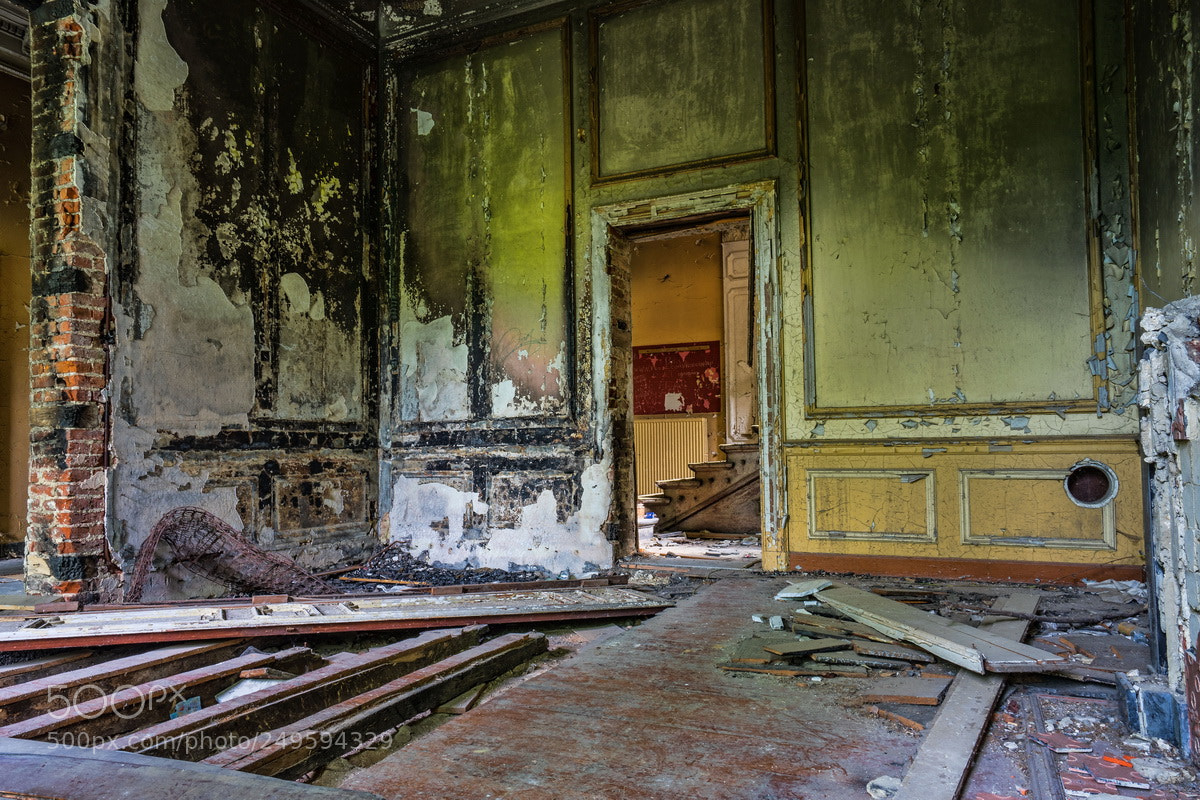 Sony a7 II sample photo. Chateau rochendaal photography
