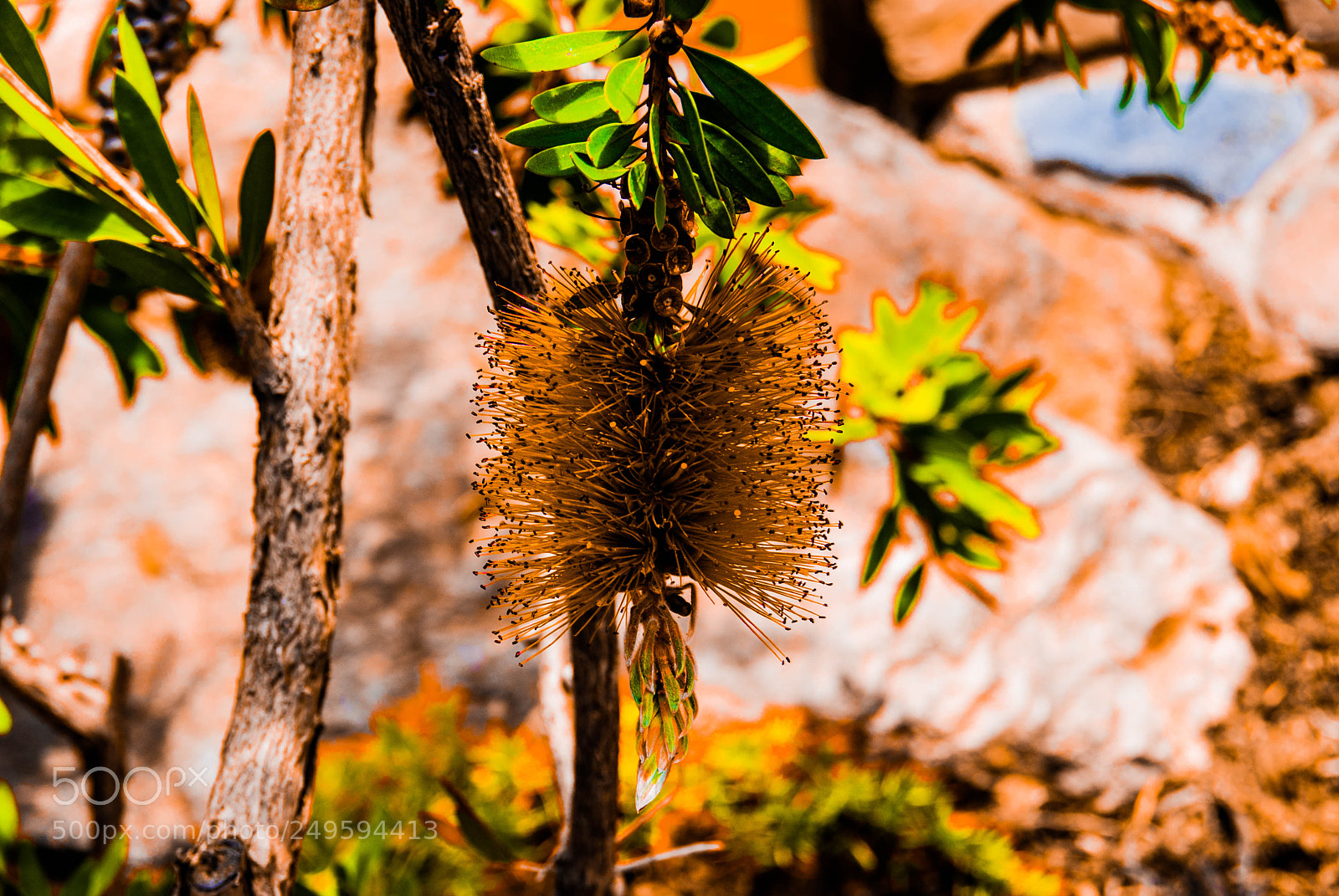 Sony Alpha DSLR-A330 sample photo. Old photo remake photography