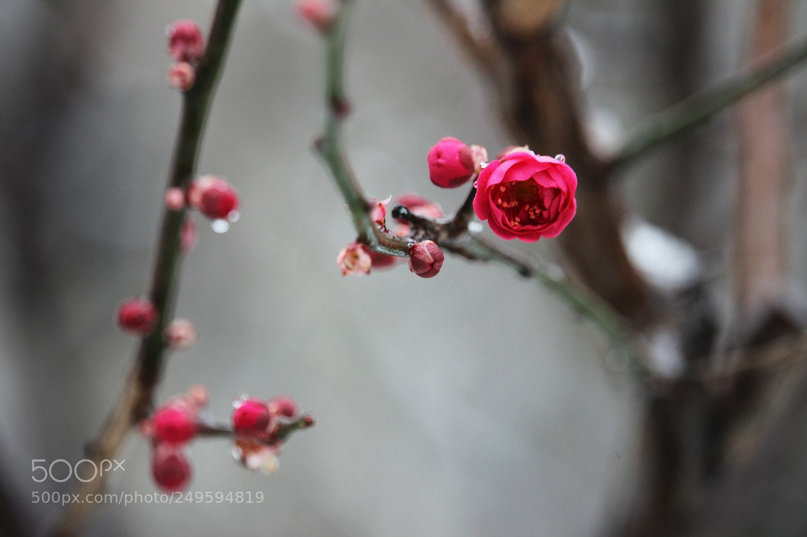 Canon EOS 600D (Rebel EOS T3i / EOS Kiss X5) sample photo. Untitled photography