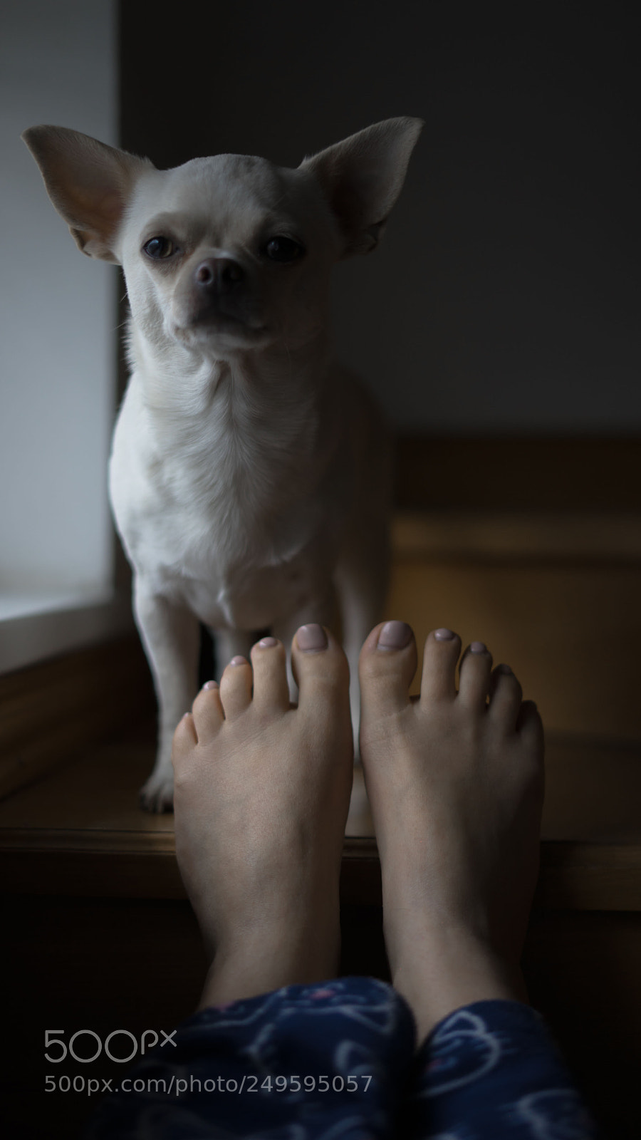 Sony a7 sample photo. Untitled photography