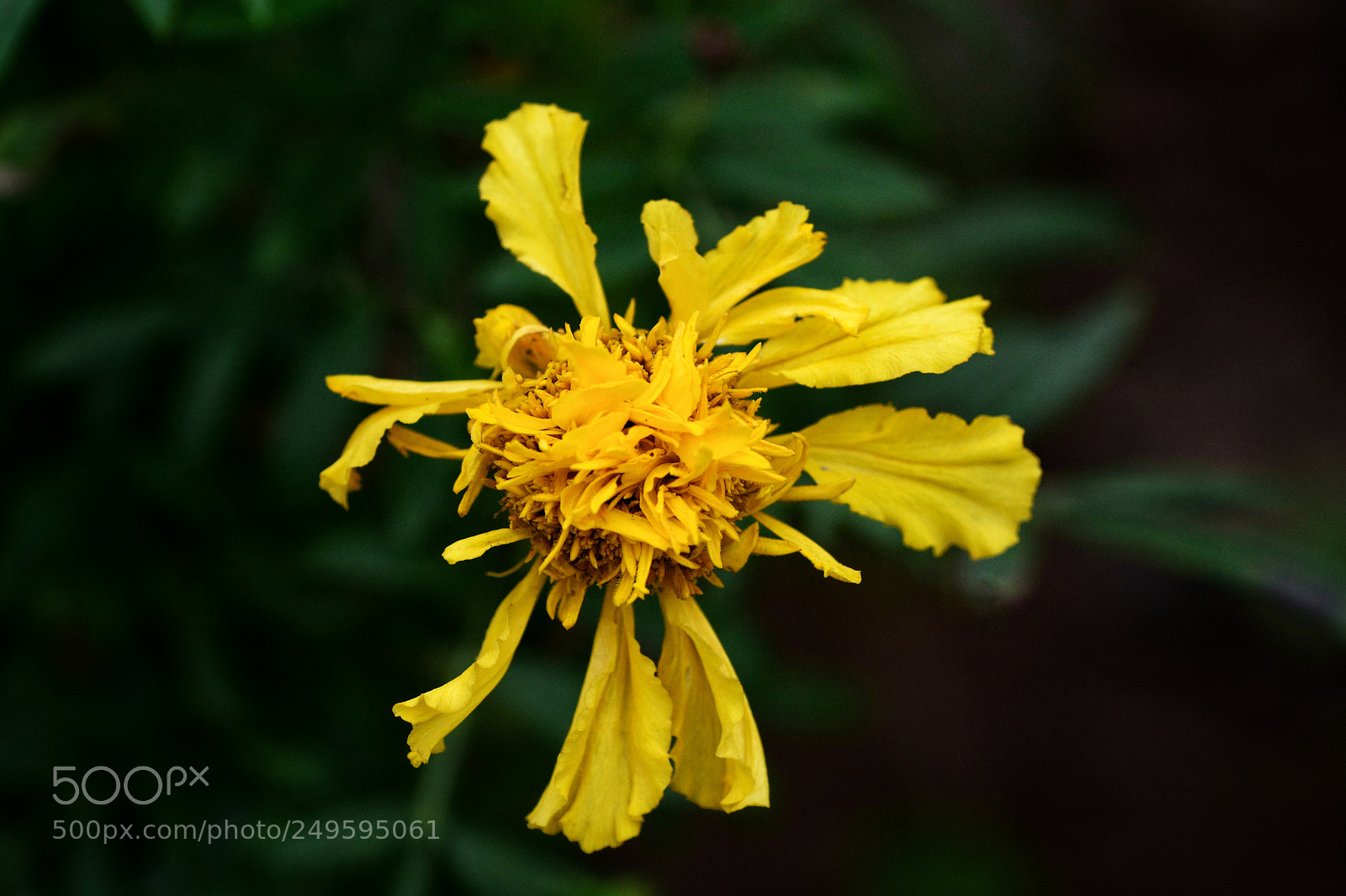 Nikon D7100 sample photo. Uccfbld photography