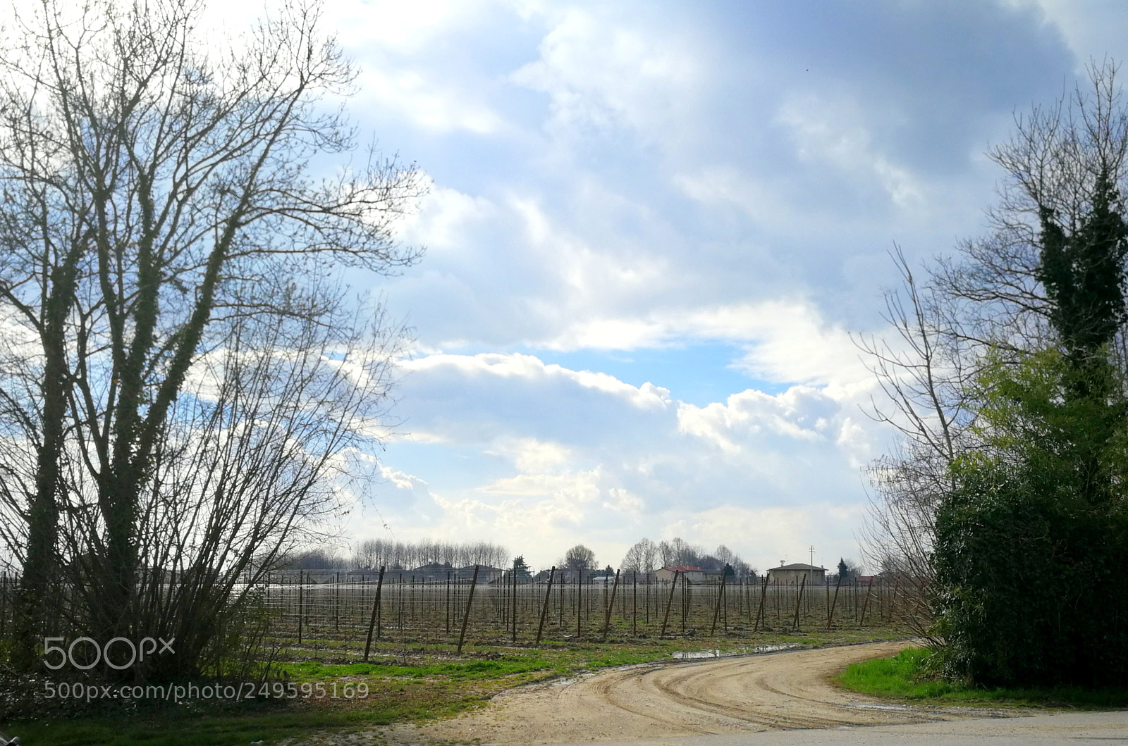 HUAWEI P10 sample photo. Pranzo a charano, dintorni photography
