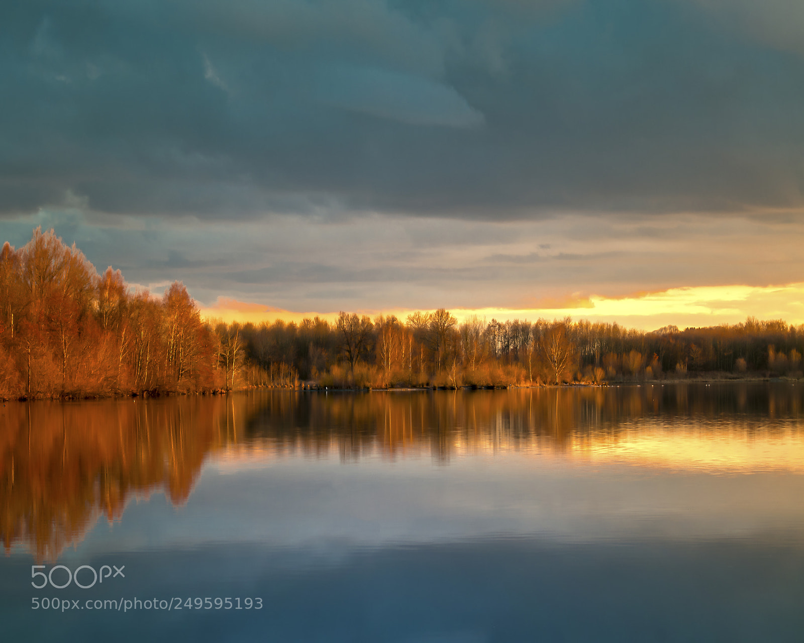 Nikon D300 sample photo. Nature lake 88471 laupheim photography