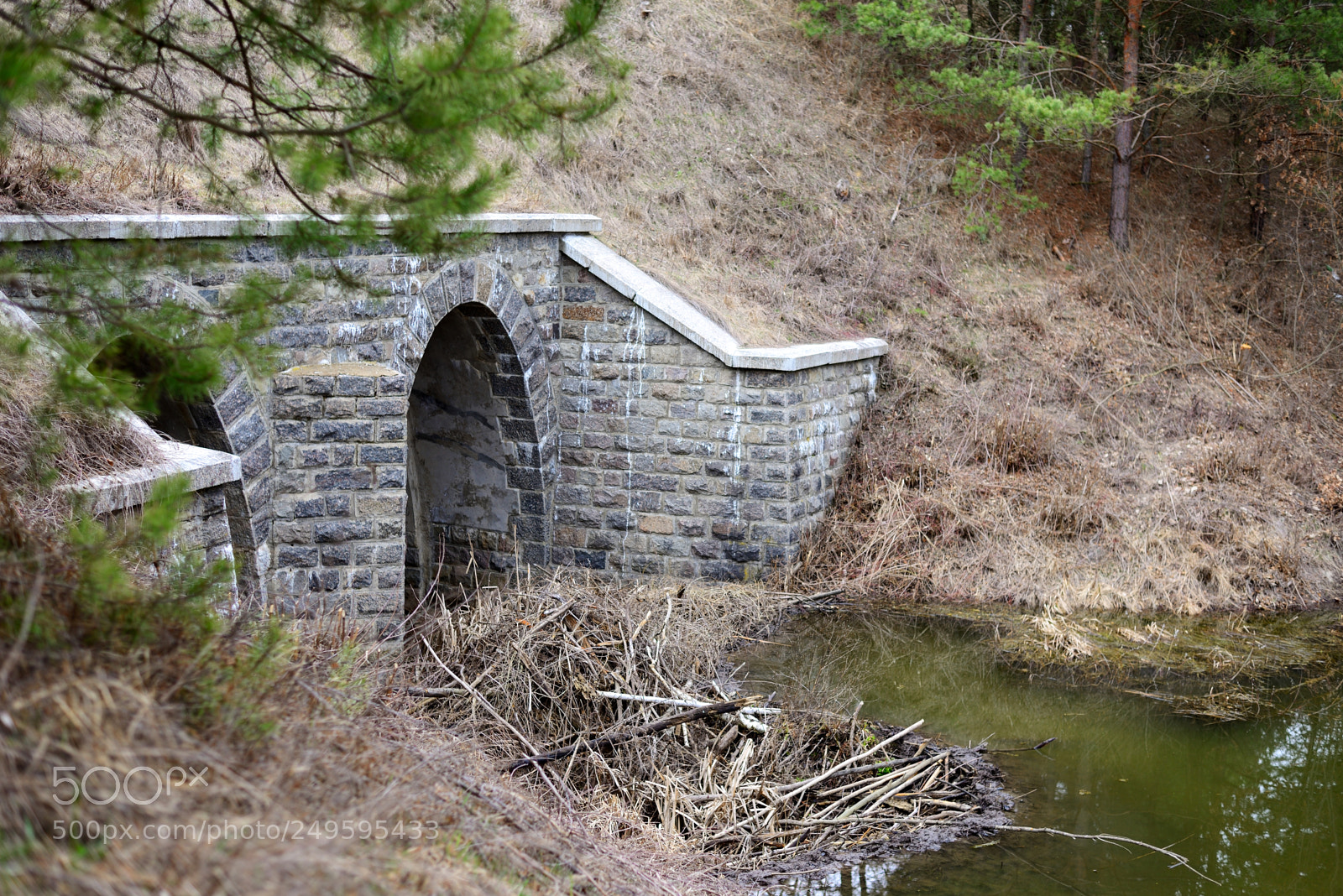 Nikon D610 sample photo. # # # photography