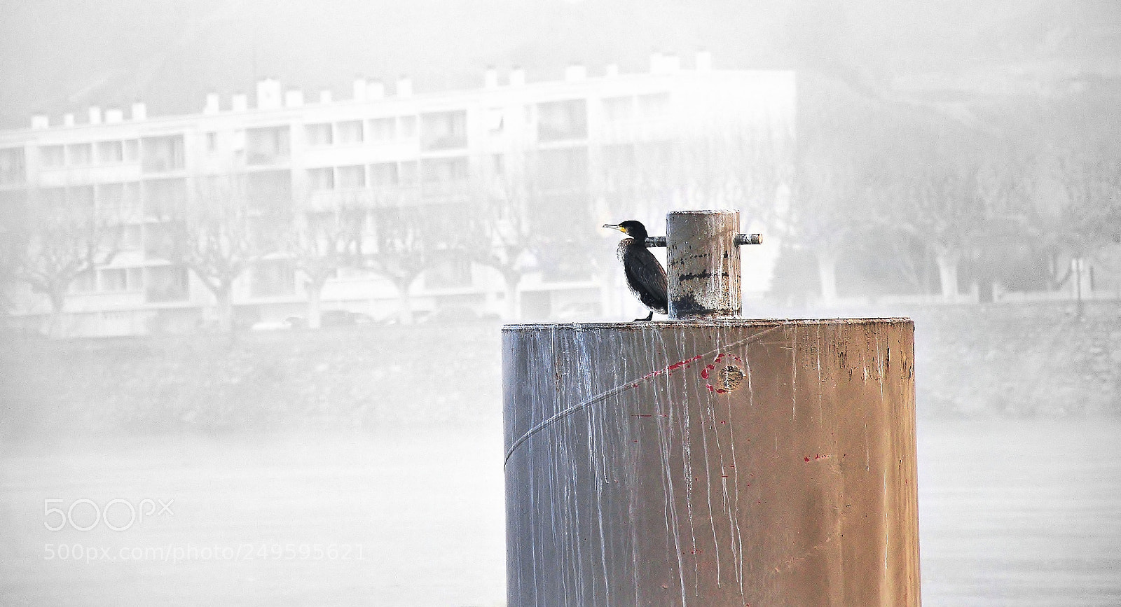 Nikon D300S sample photo. Attente photography
