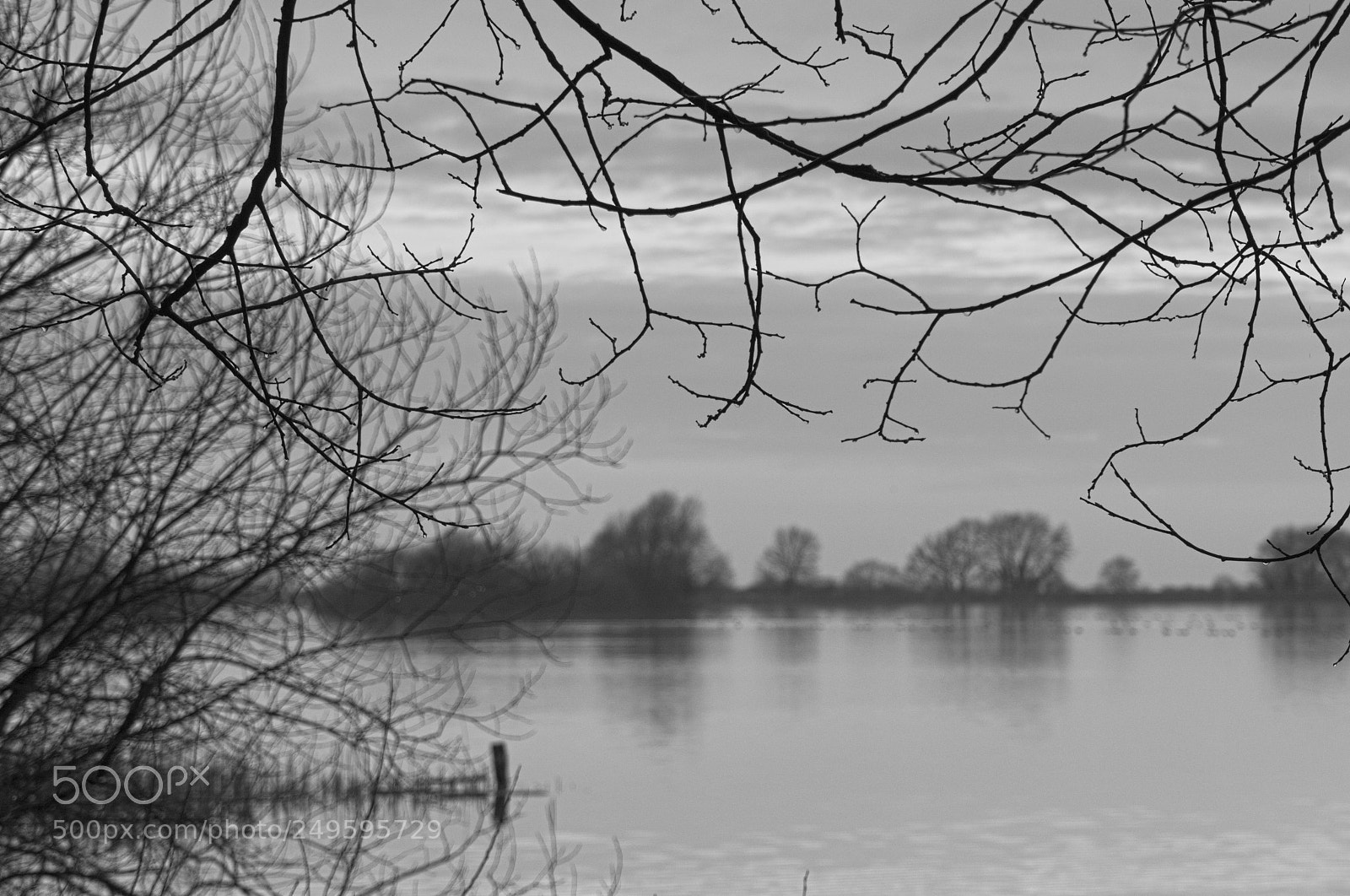 Sony DSC-R1 sample photo. Wilstone reservoir, near tring photography