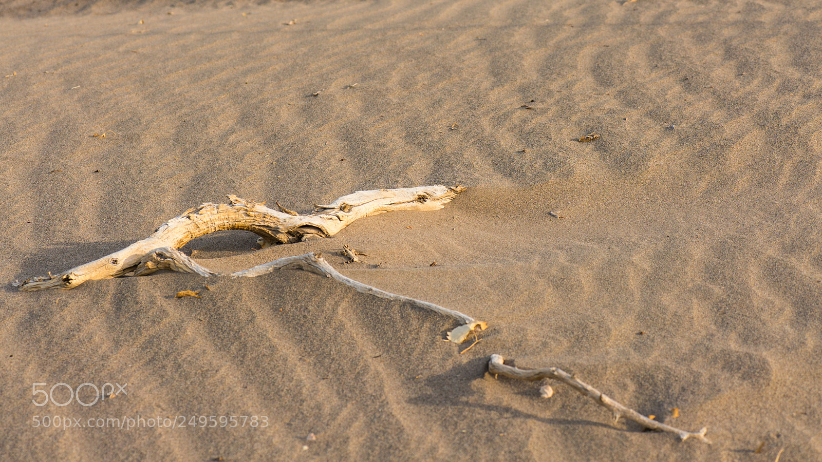 Nikon D800E sample photo. Thousand years of masonry photography