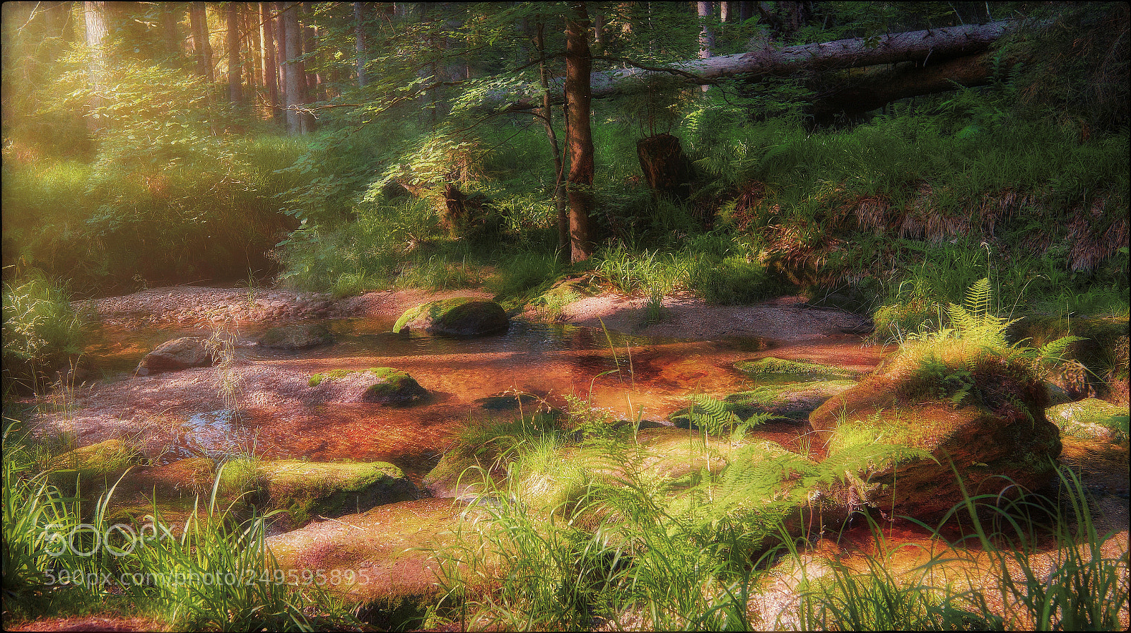 Fujifilm X-T1 sample photo. At the creek photography