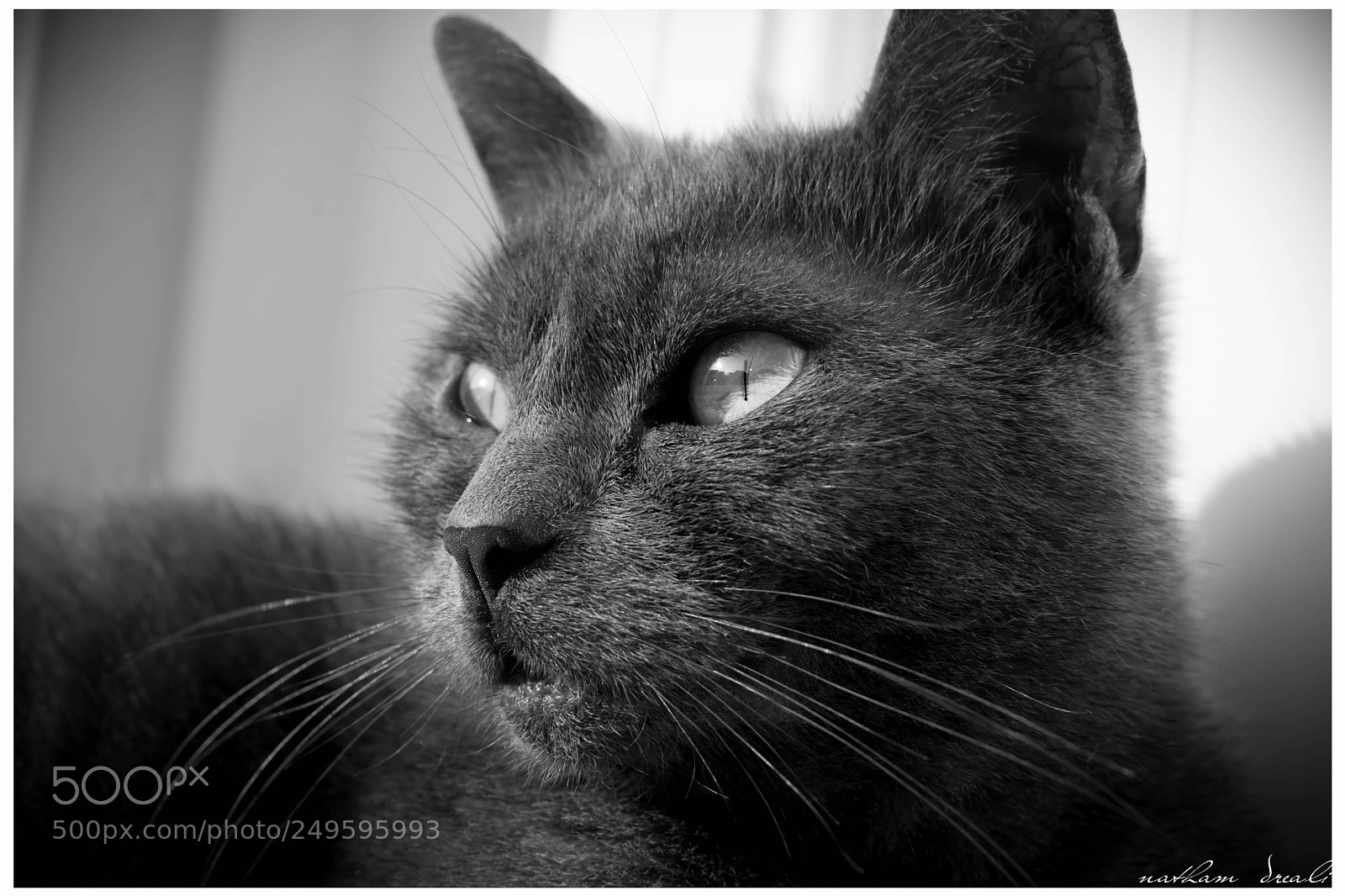 Nikon D7100 sample photo. Untitled photography
