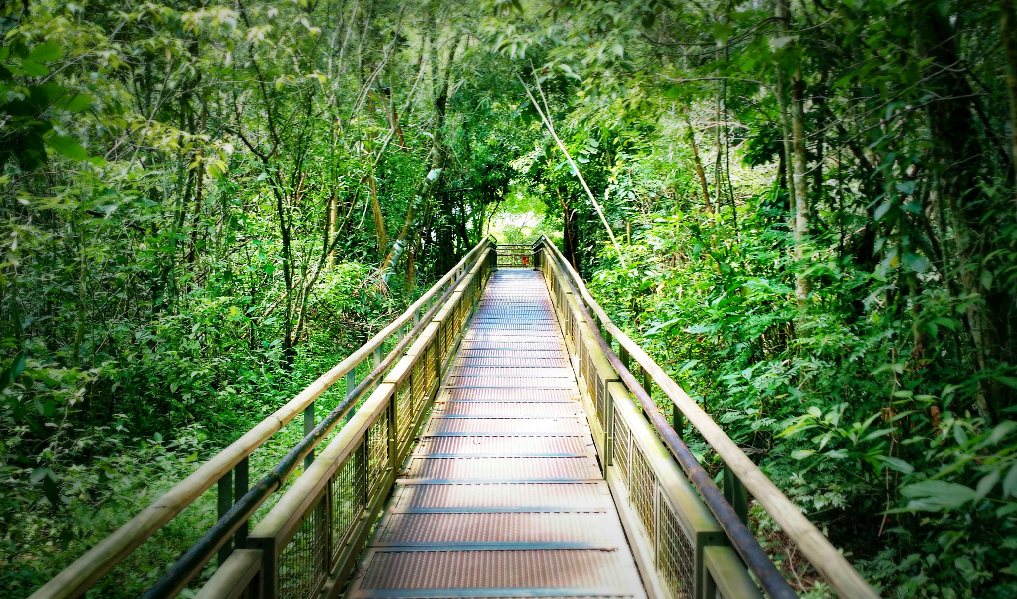 Motorola Moto X (2nd Gen) sample photo. The green walkway to the falls photography